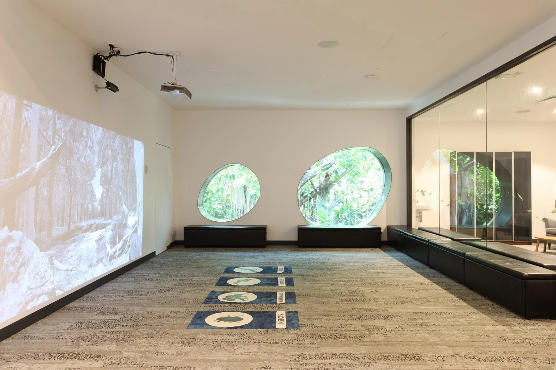 Brisbane Koala Science Institute Interior Learning Room
