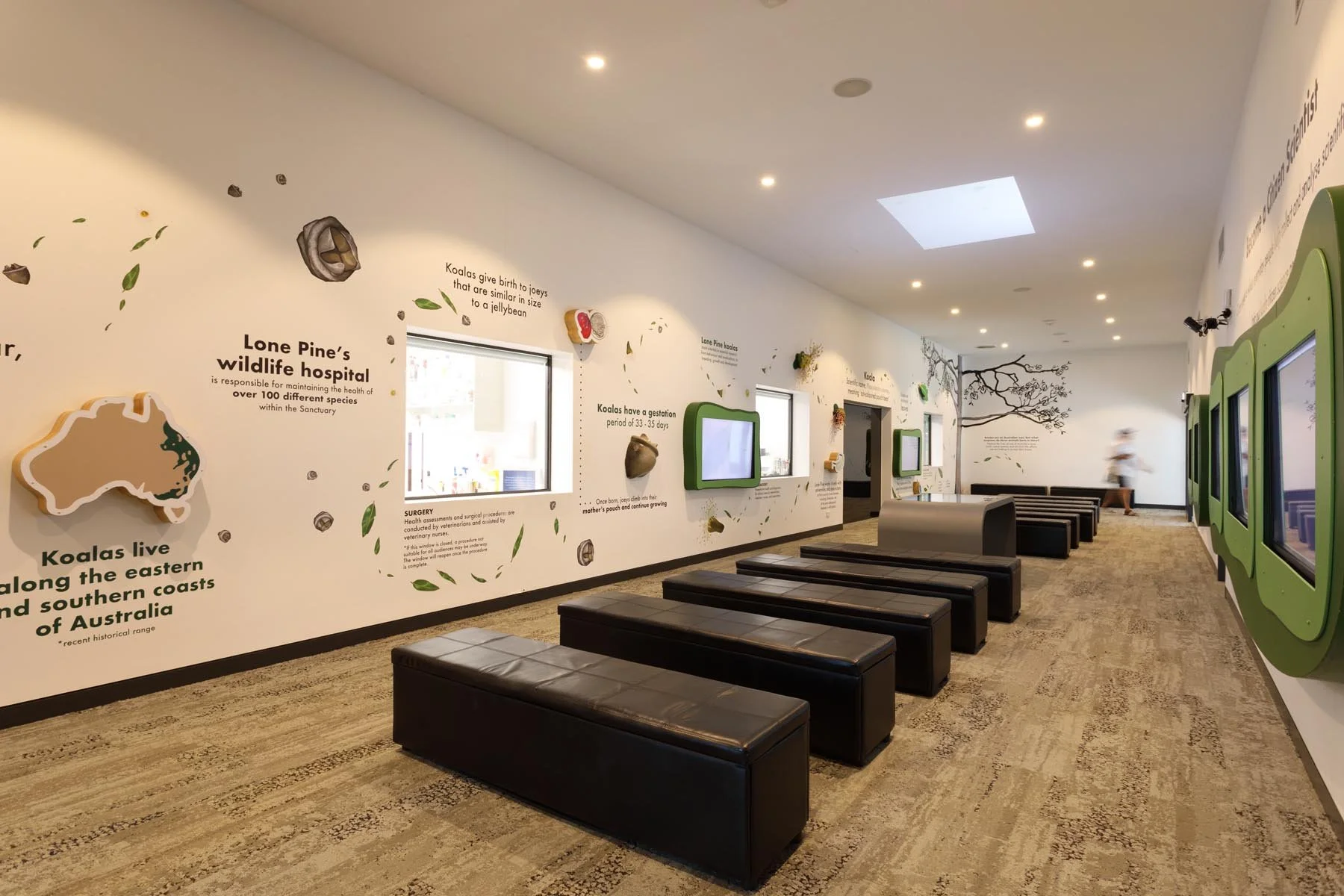 Brisbane Koala Science Institute Interior Design