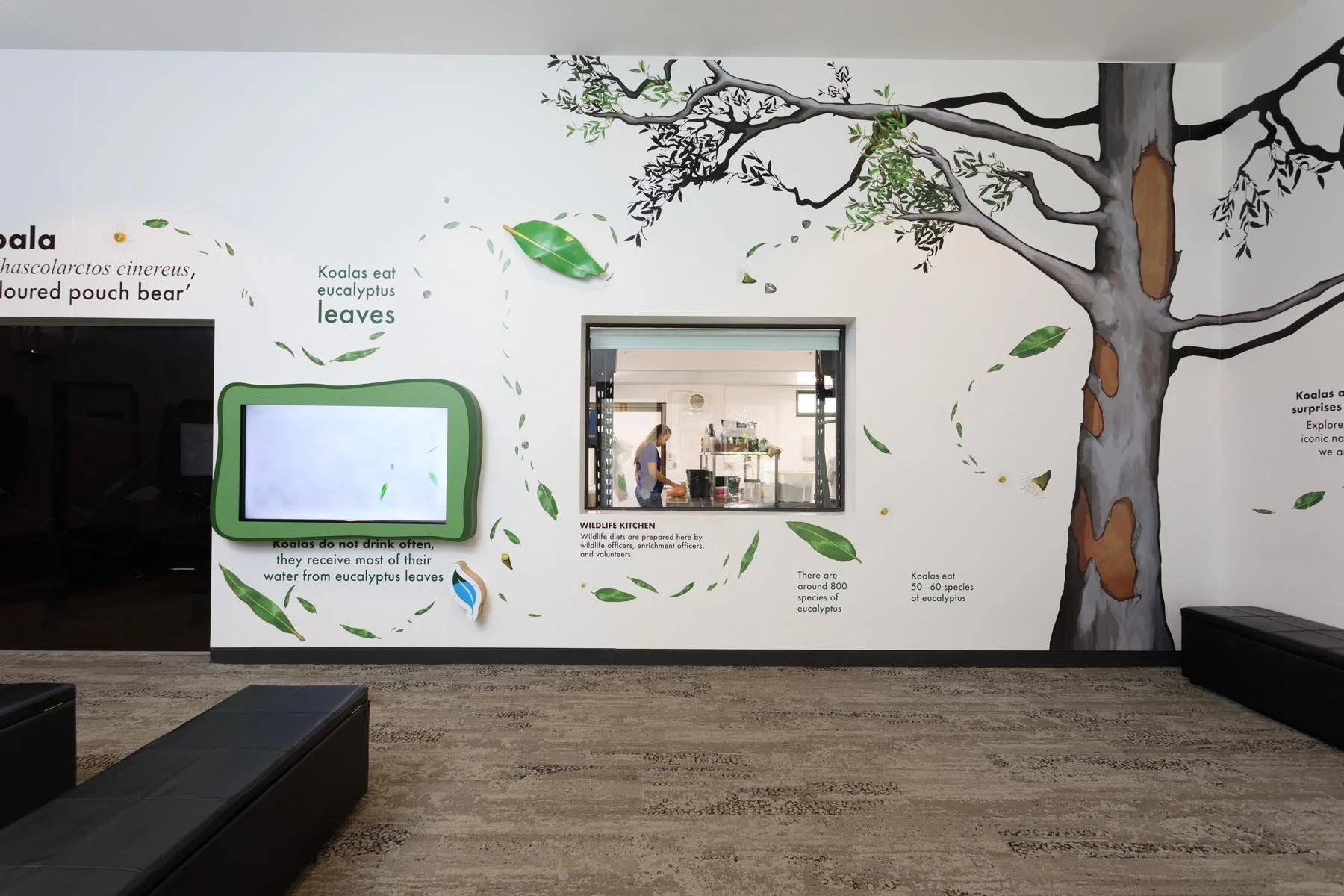 Brisbane Koala Science Institute Interior Design