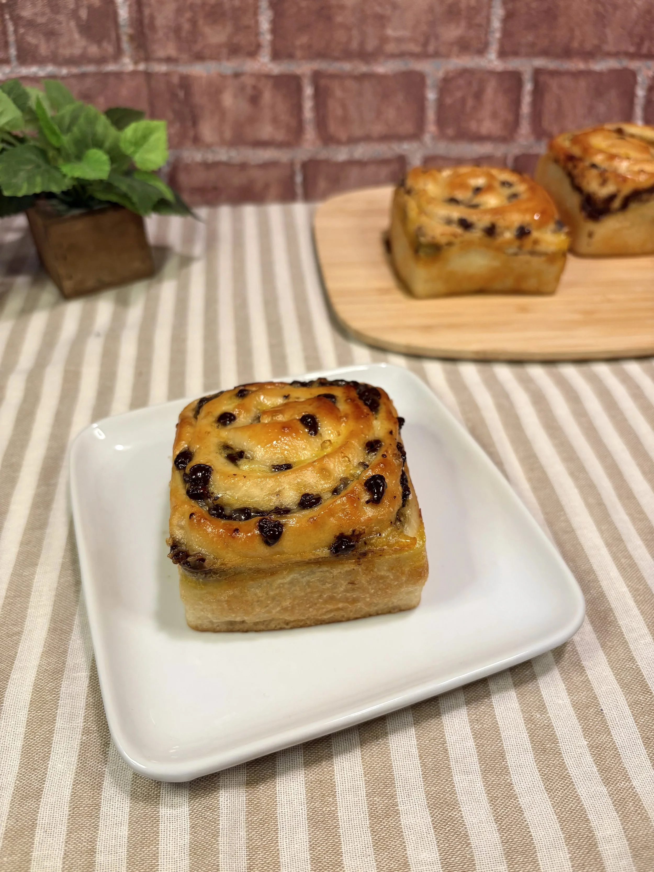 Custard & Choco-Chip Square