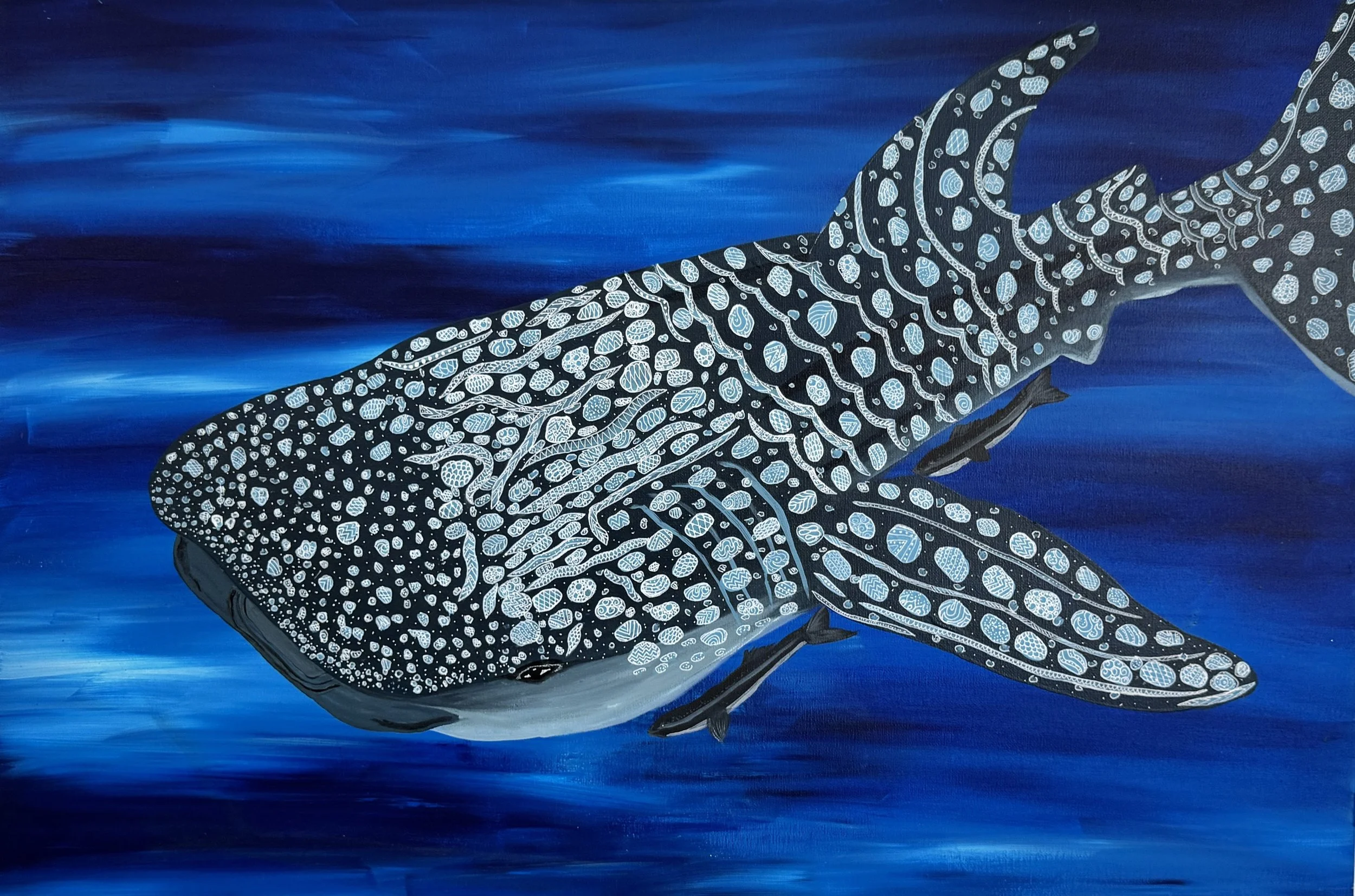 WHALESHARK
