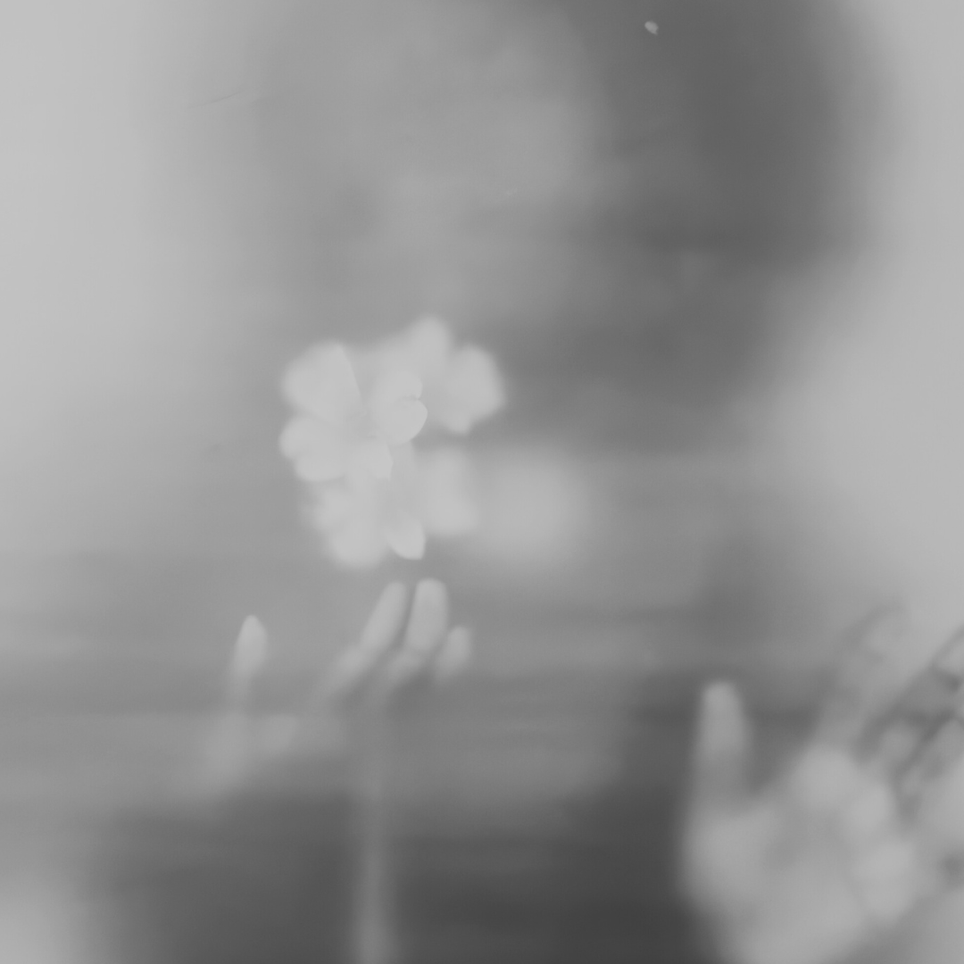 Immagine sfocata di fiori di ciliegio riflessi su una superficie liscia.