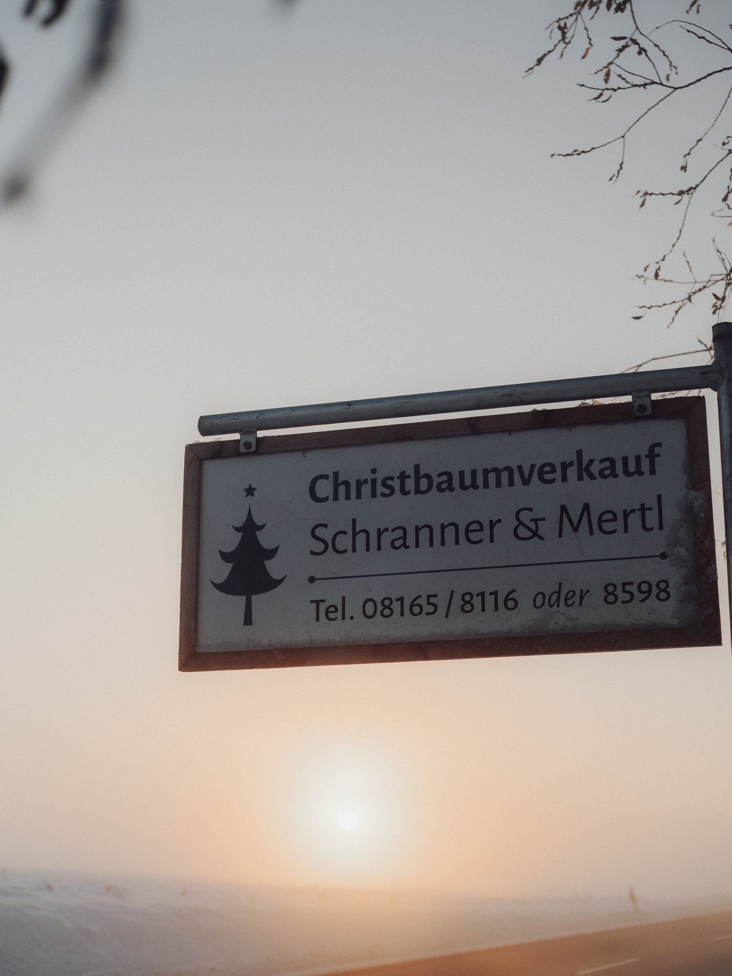 MS-Christbäume-2023-highres-46.jpg