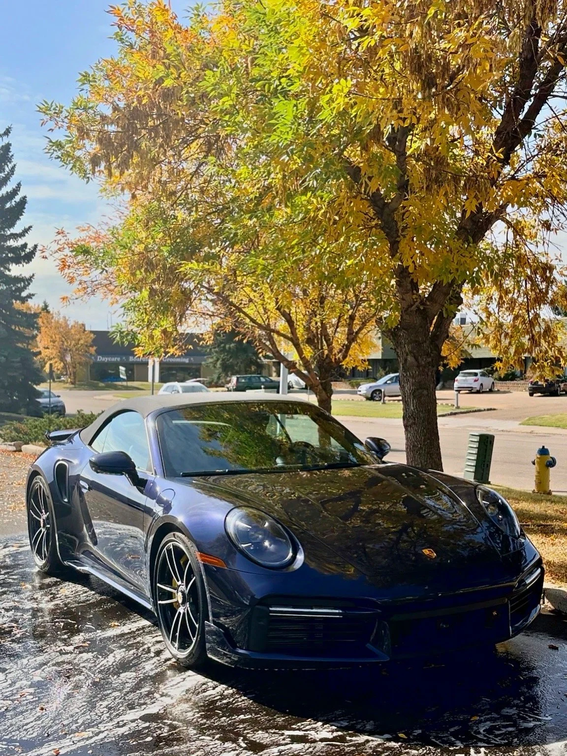 Porsche 911 exterior detailed by Dynamic Detailing