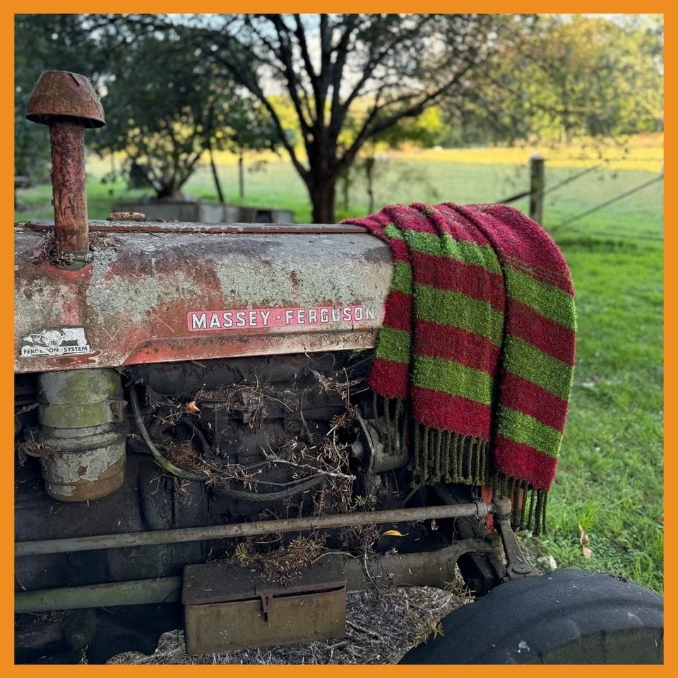 New Zealand wool and mohair throw blanket. Perfect for bringing a pop of colour to your lounge, bedroom or rusty old tractor over the back fence 🧡

#nzmohair #nzwool #handwoven #contemporaryweaving #masseyfergusontractor