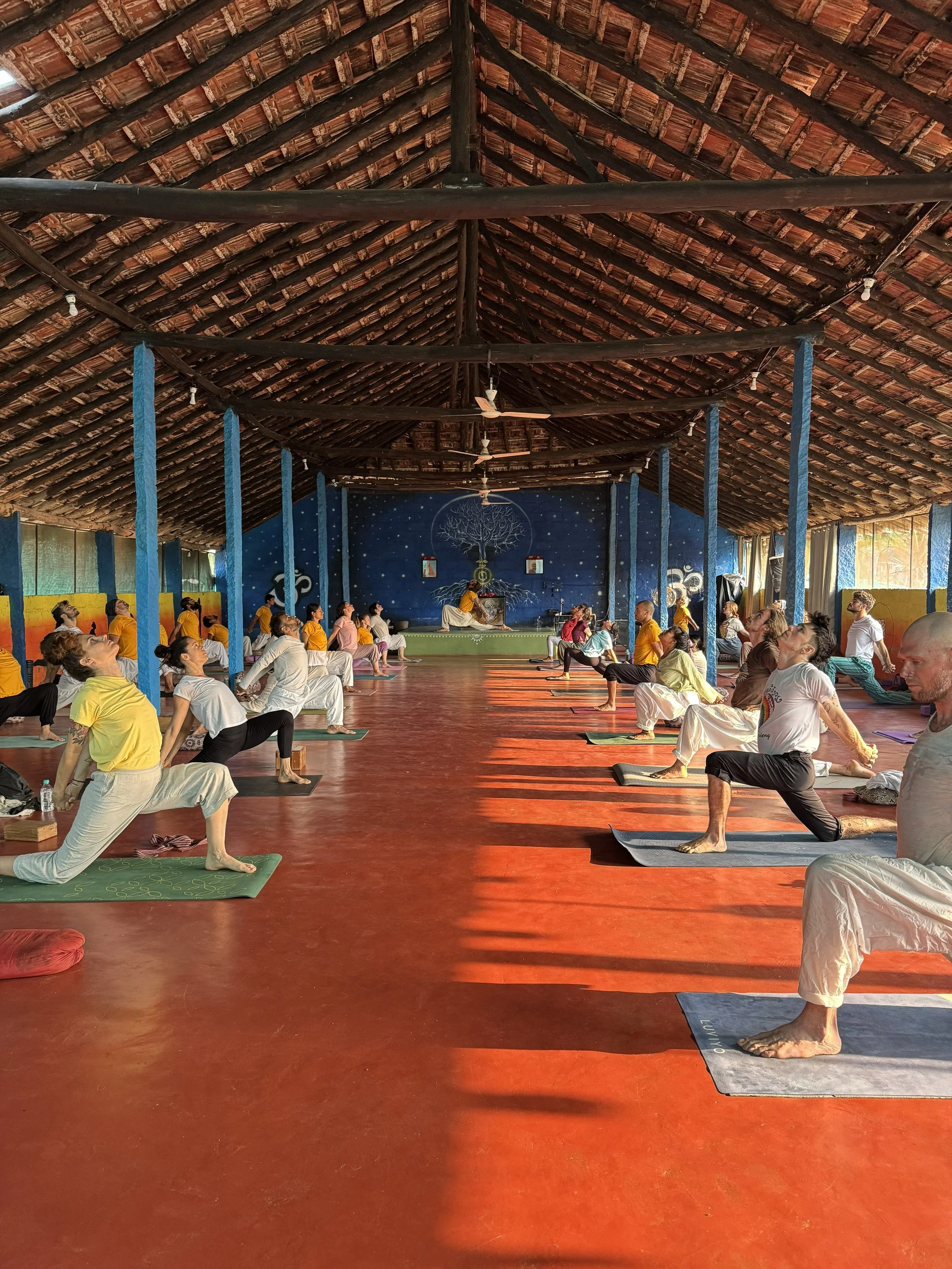 Your Yoga Practice 