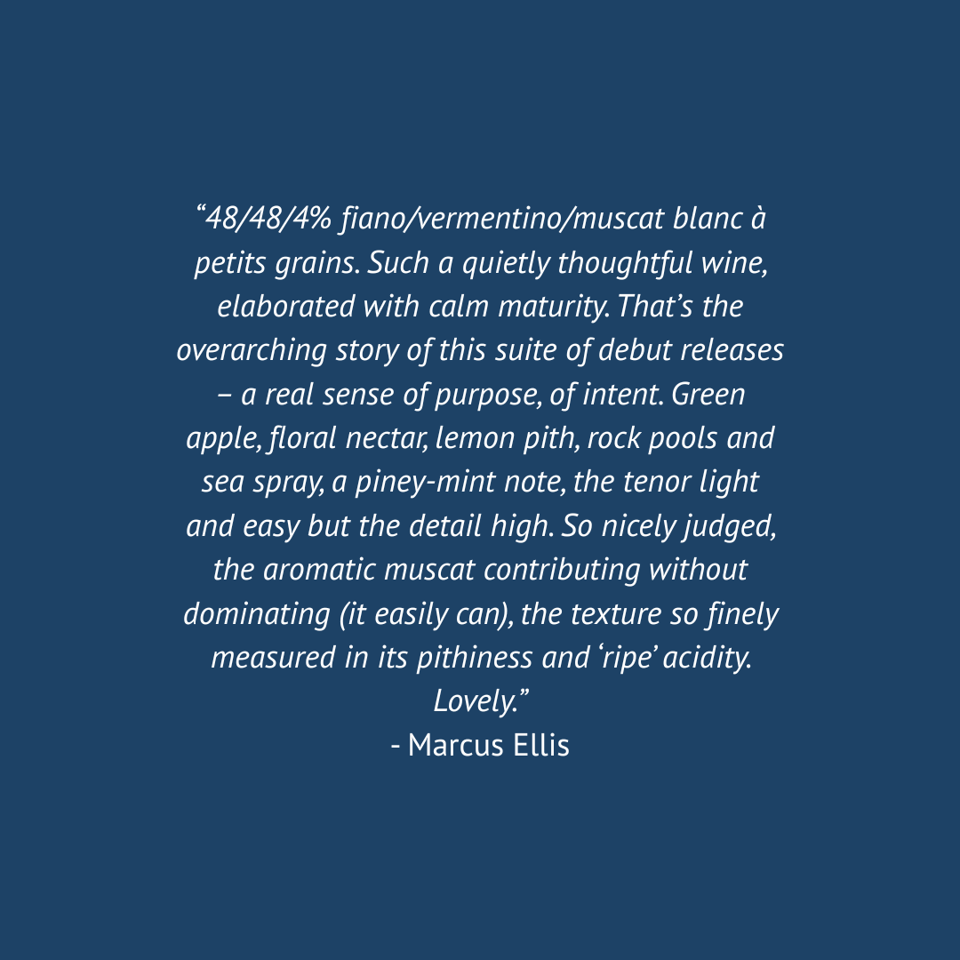 Your paragraph text(1).png