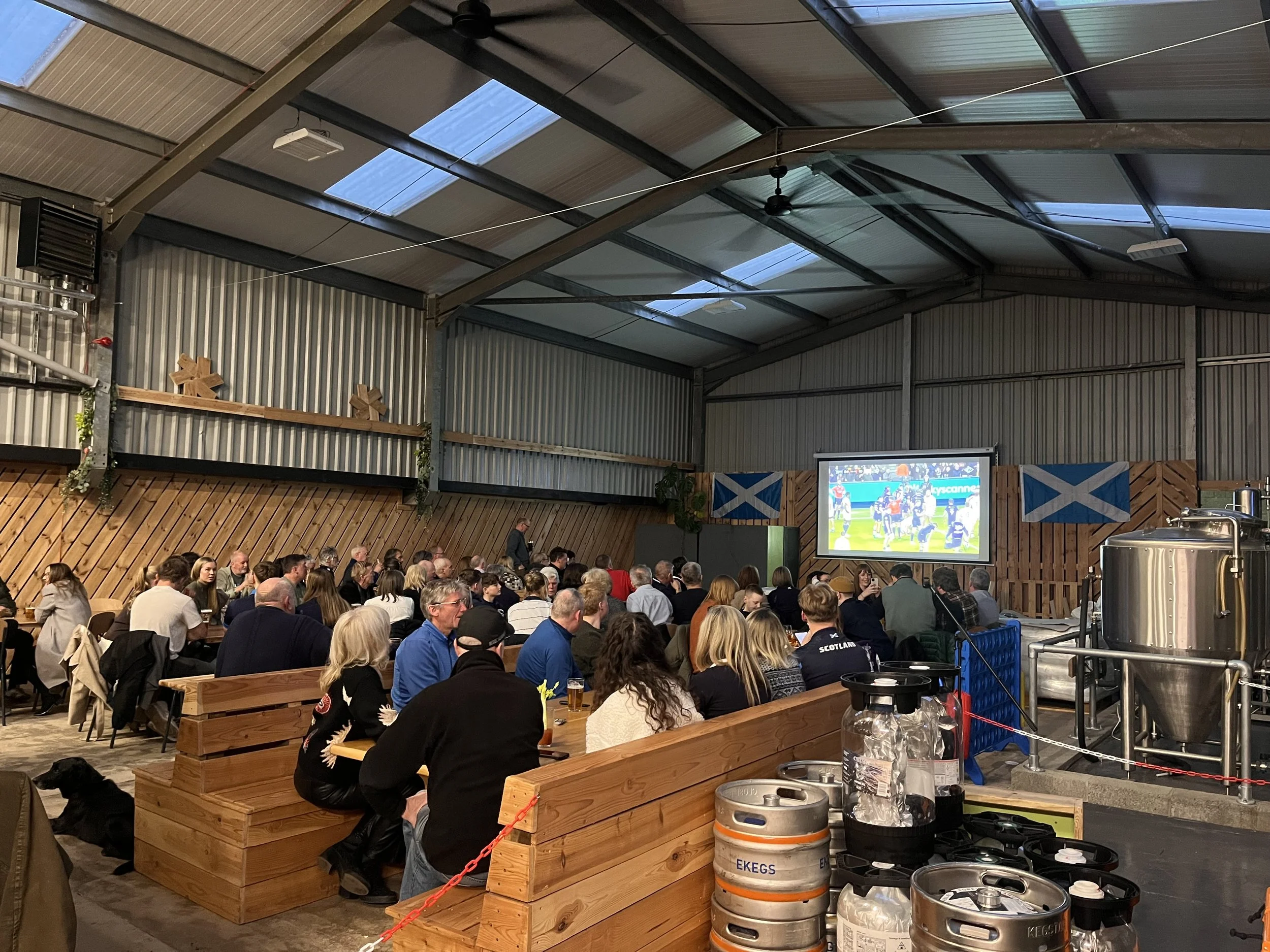 Six Nations: Scotland vs France