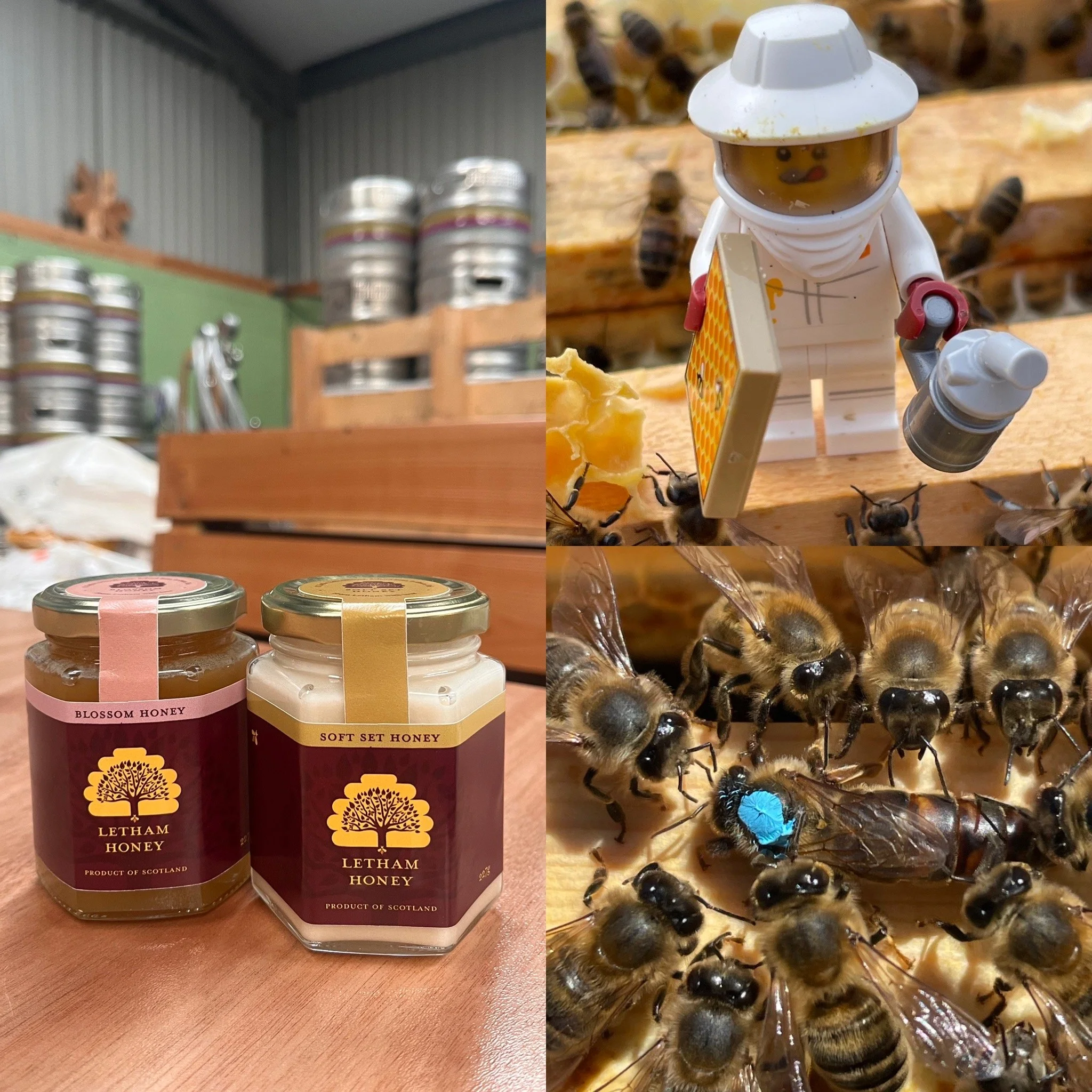 Letham Honey Talk & Tasting