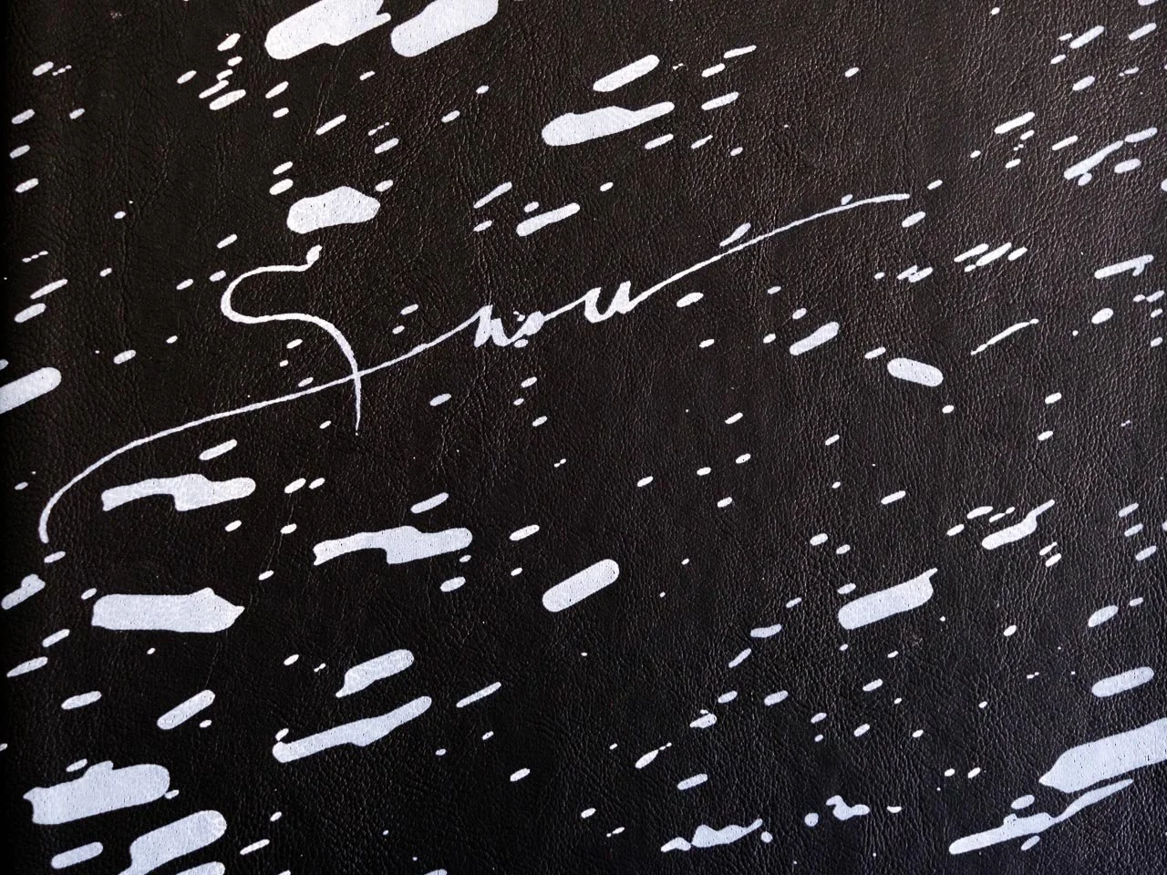 PHOTO BOOKS: SNOW BY VANESSA WINSHIP