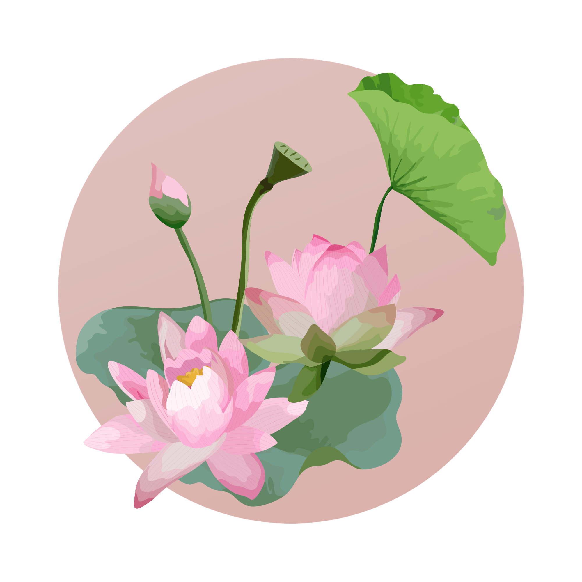 Close-up illustration of pink and white lotus flowers with green leaves on a beige background.