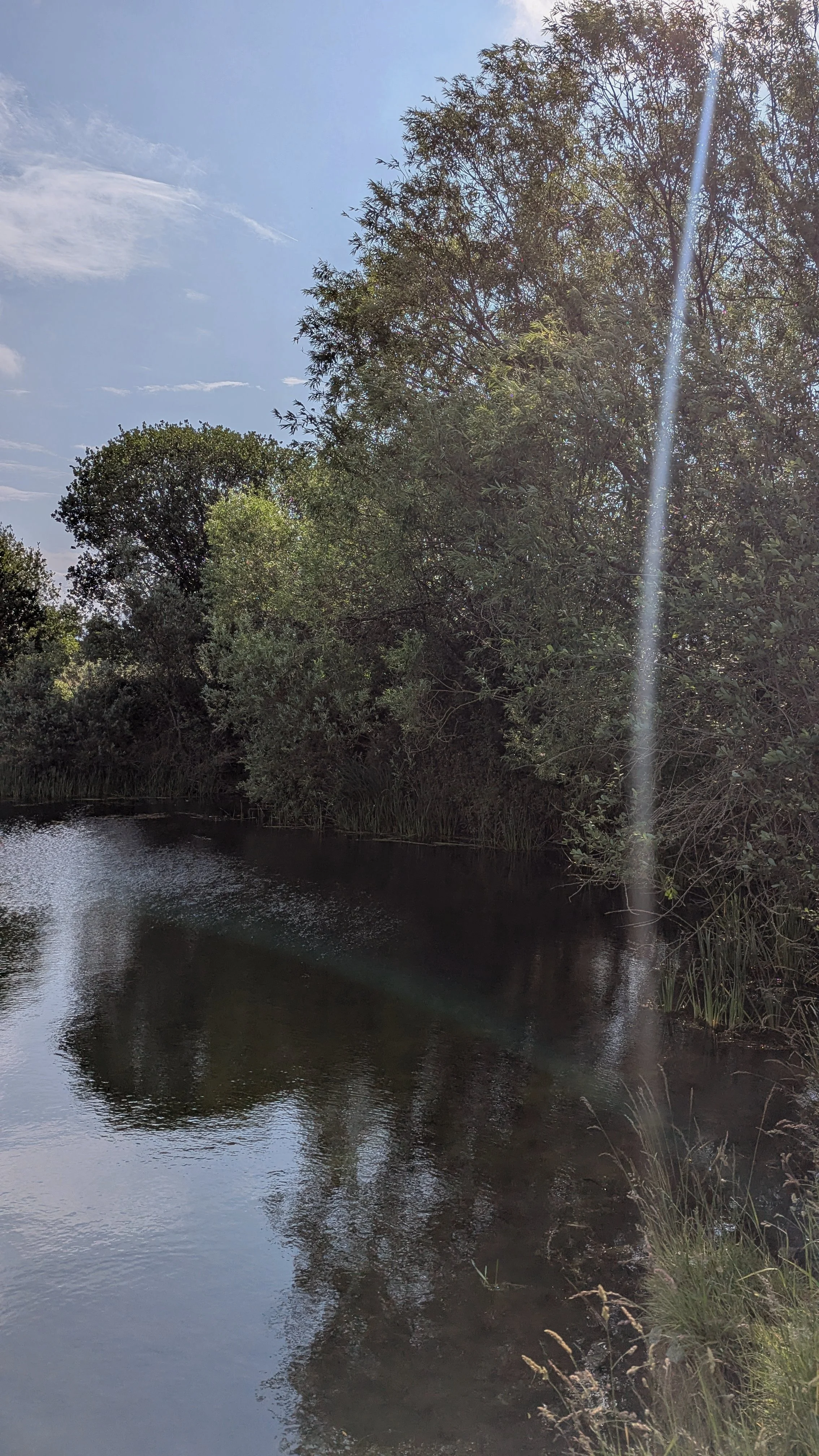 A peaceful scene of a river or lake with trees and greenery along the shoreline, reflecting on the calm water under a partly cloudy sky with some sunlight.