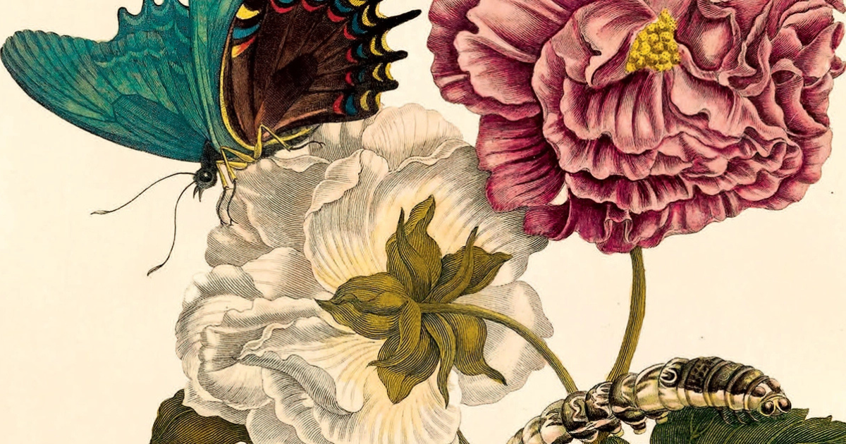 botanical-illustration-workshop-amsterdam.png