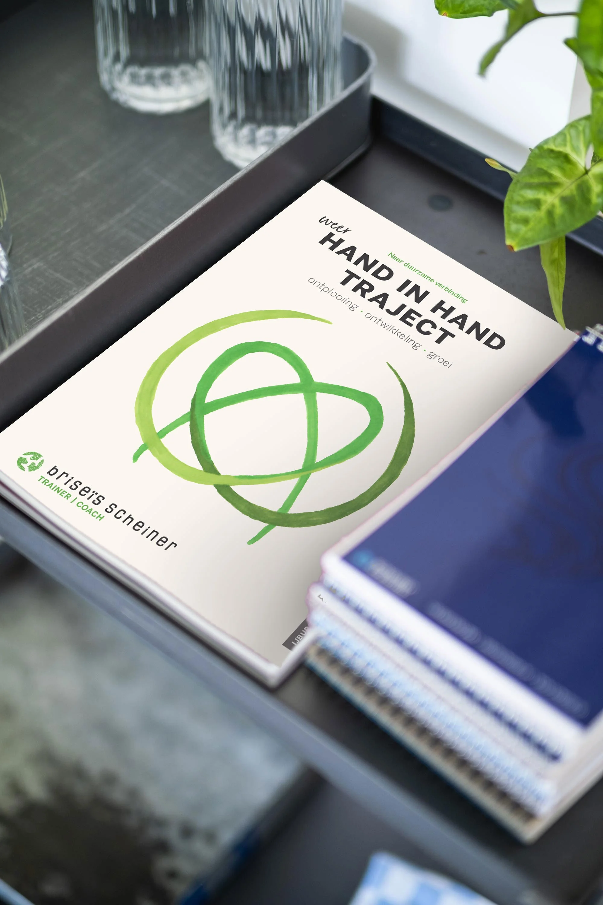 Een modern eetkamer met een ovale houten tafel, vier blauwe stoelen, grote kamerplanten, een grote raamdeur, en decoratieve items op een vensterbank, met natuurlijke lichtinval.