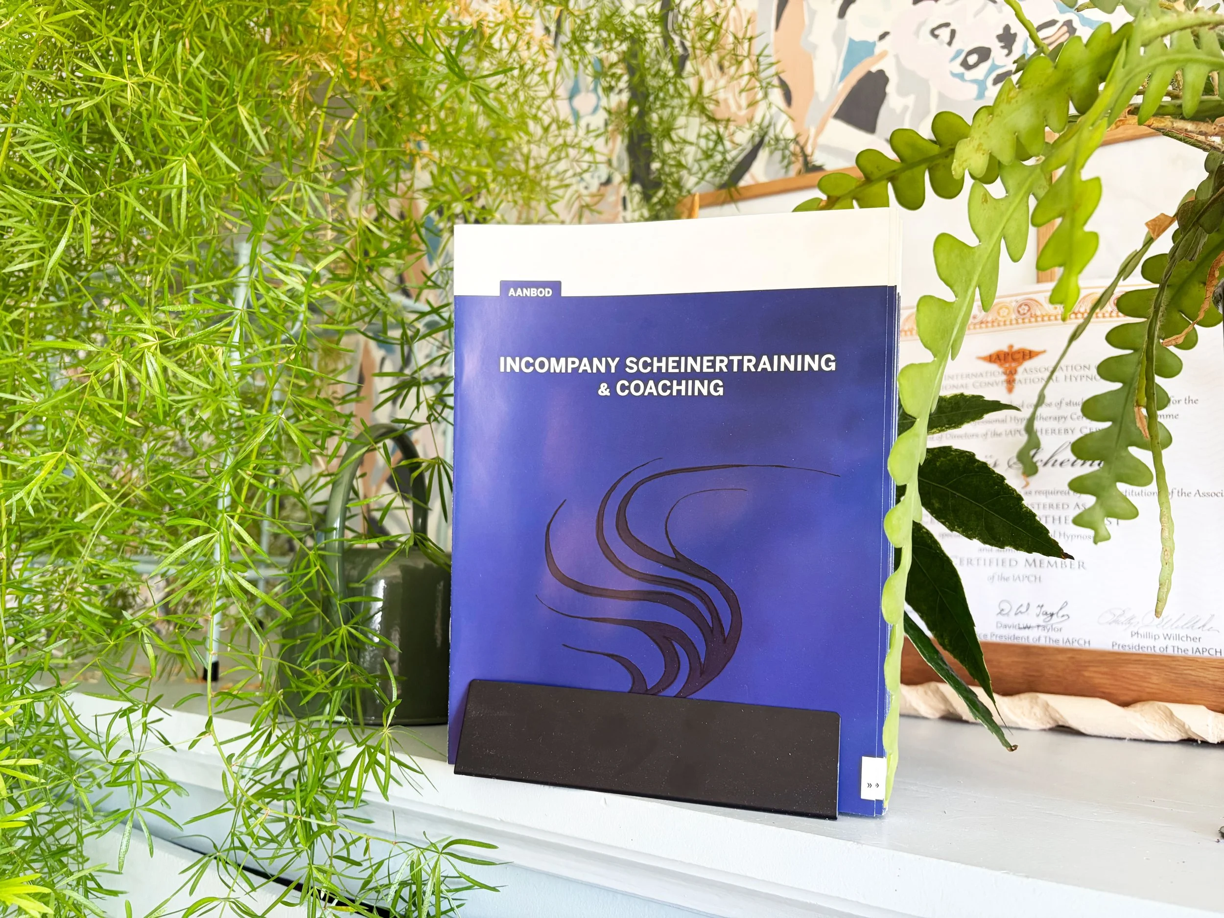 Folder incompany training en coaching van Scheiner