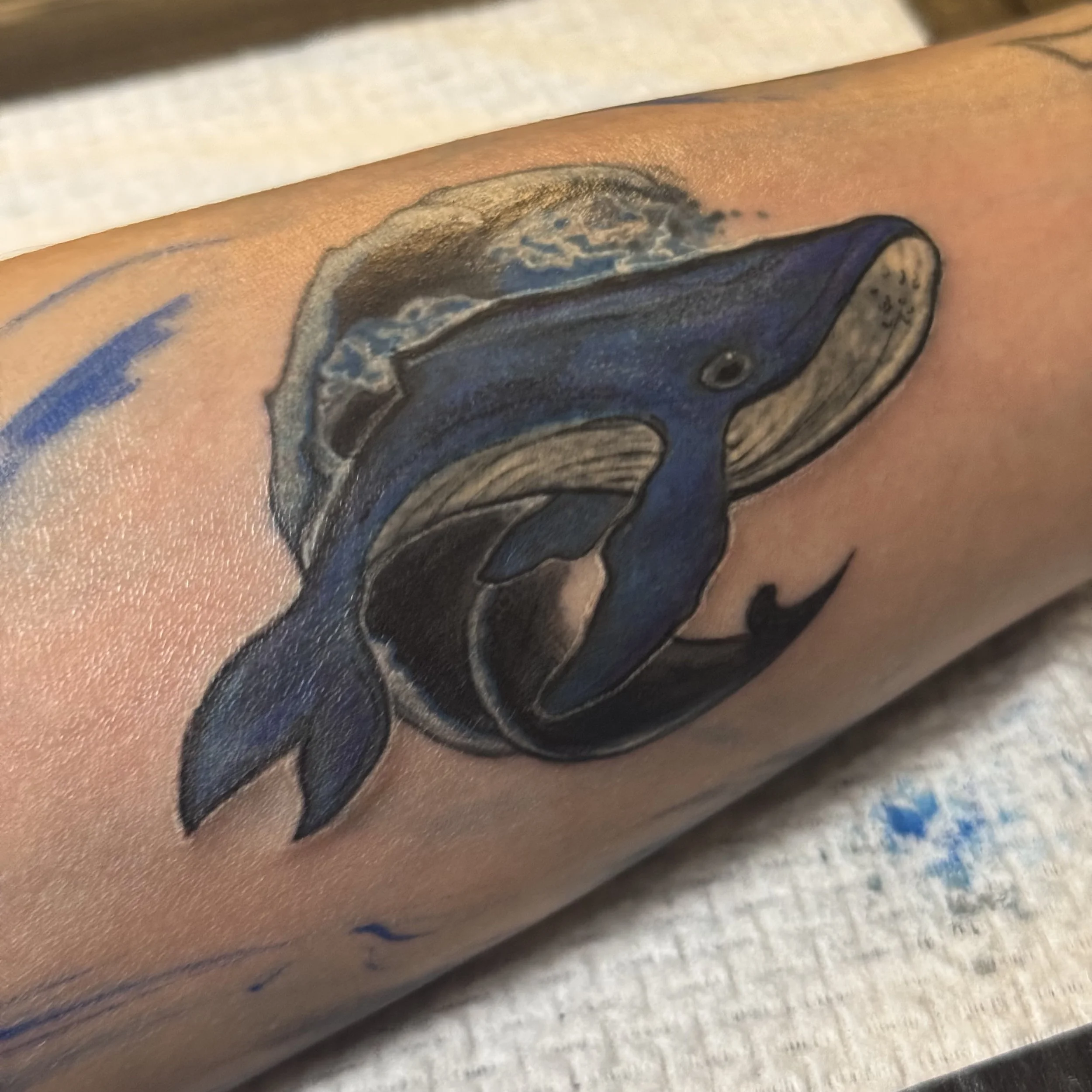 Reborn the whale tattoo. 