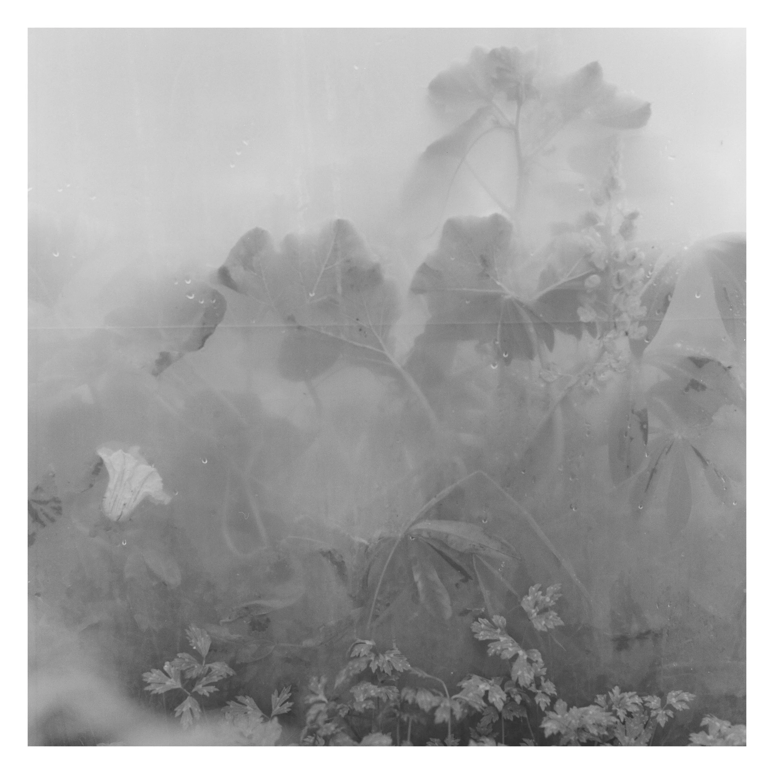 000051730004 copy.jpg