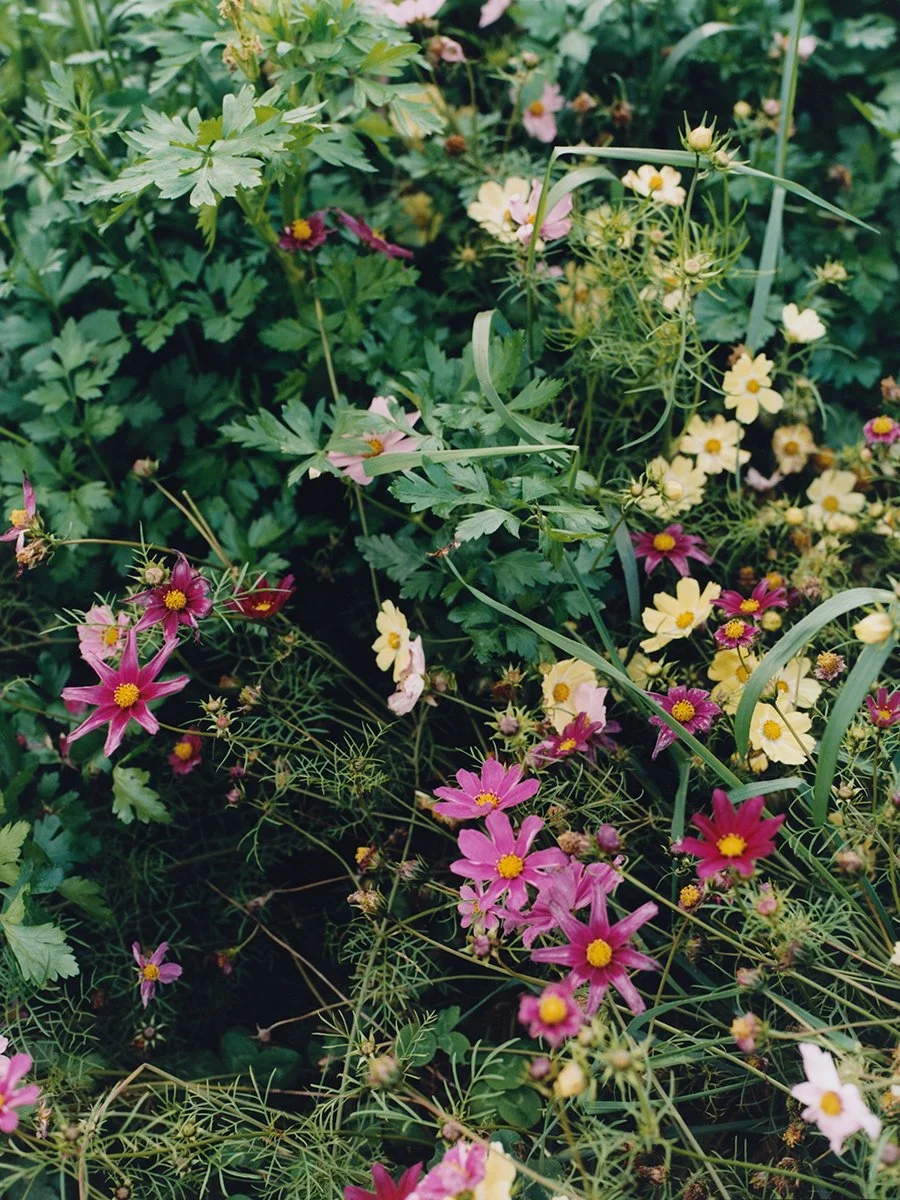 Trochry_12_R1.jpg