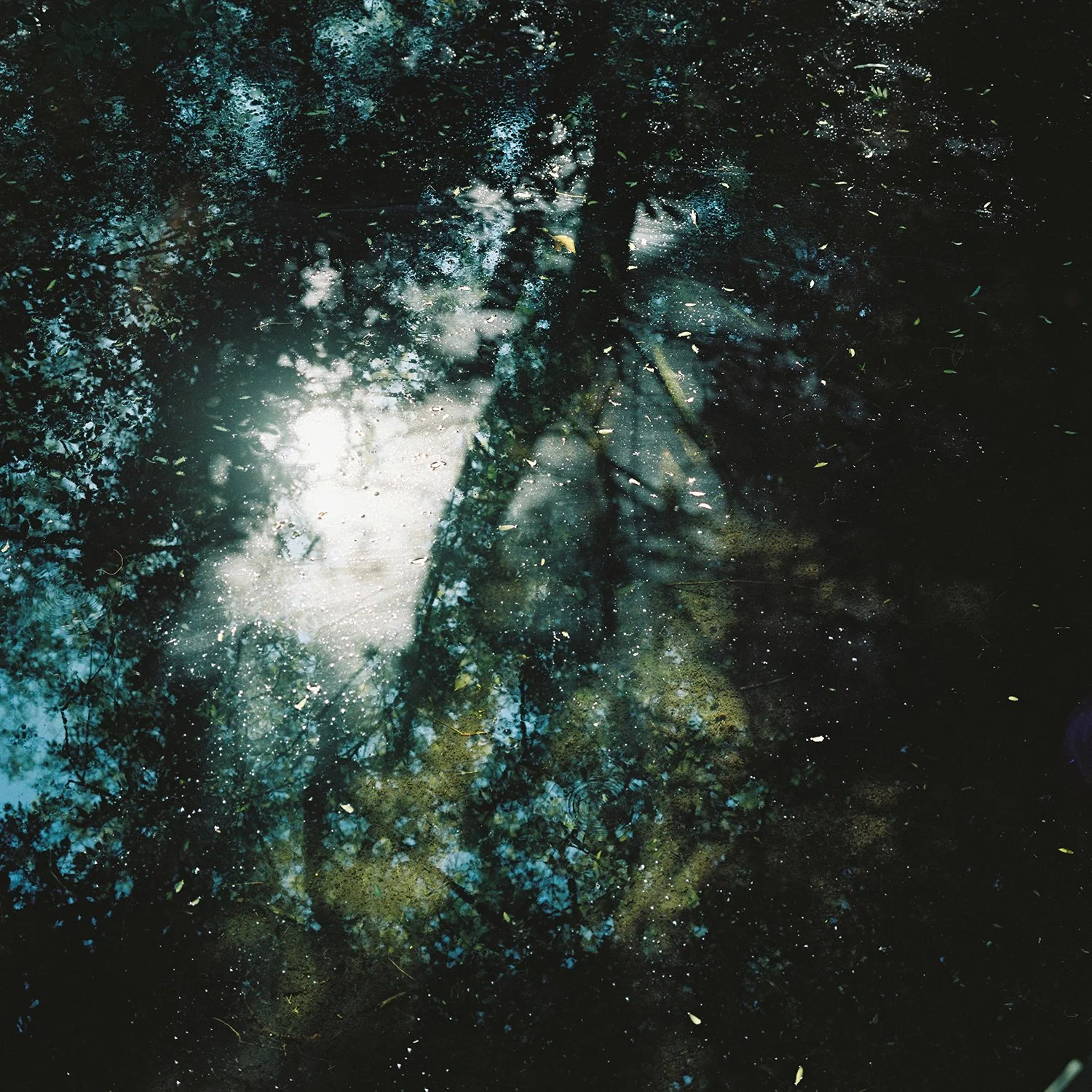 000001 2.JPG