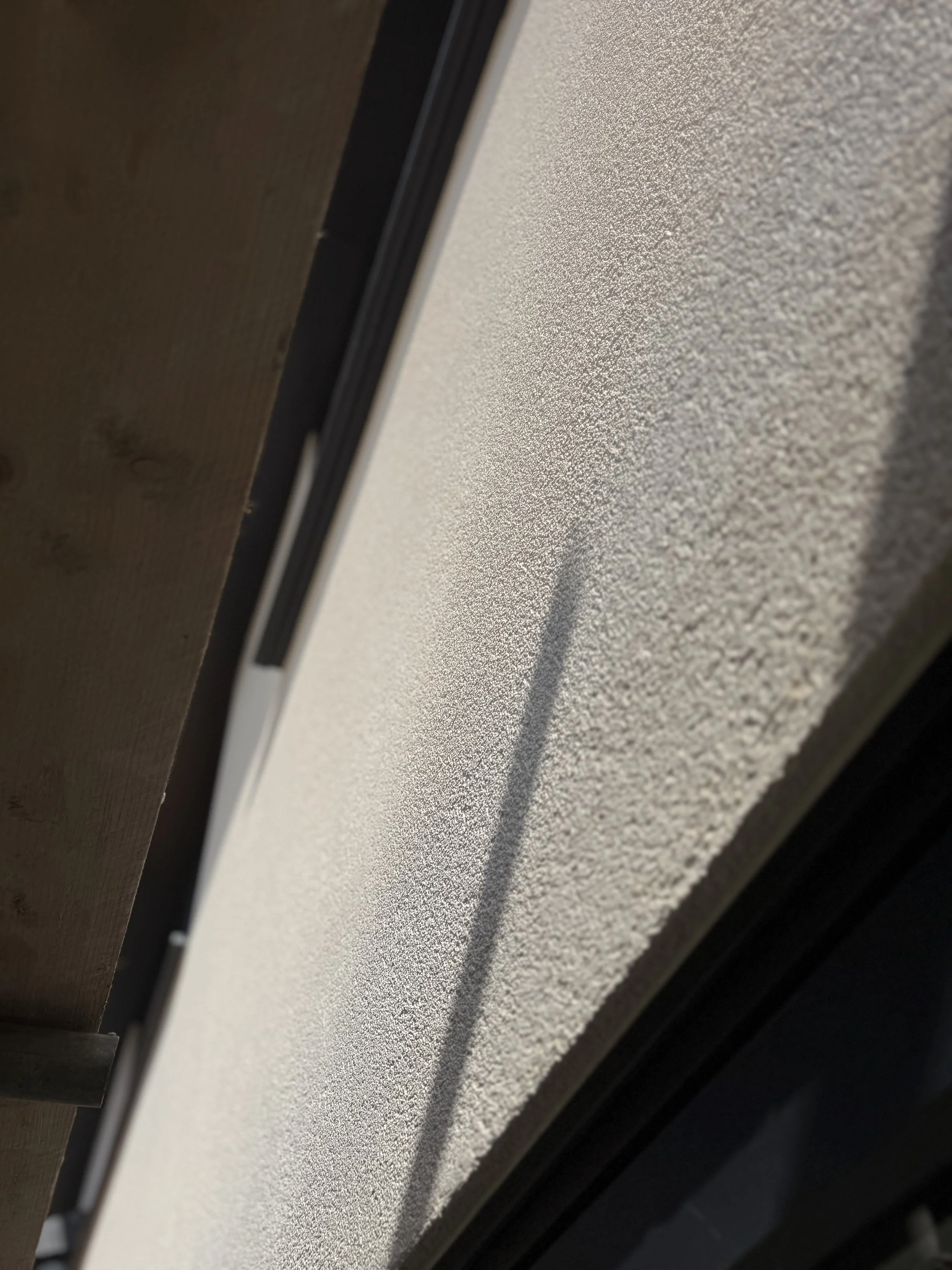 IMG_7380.jpeg