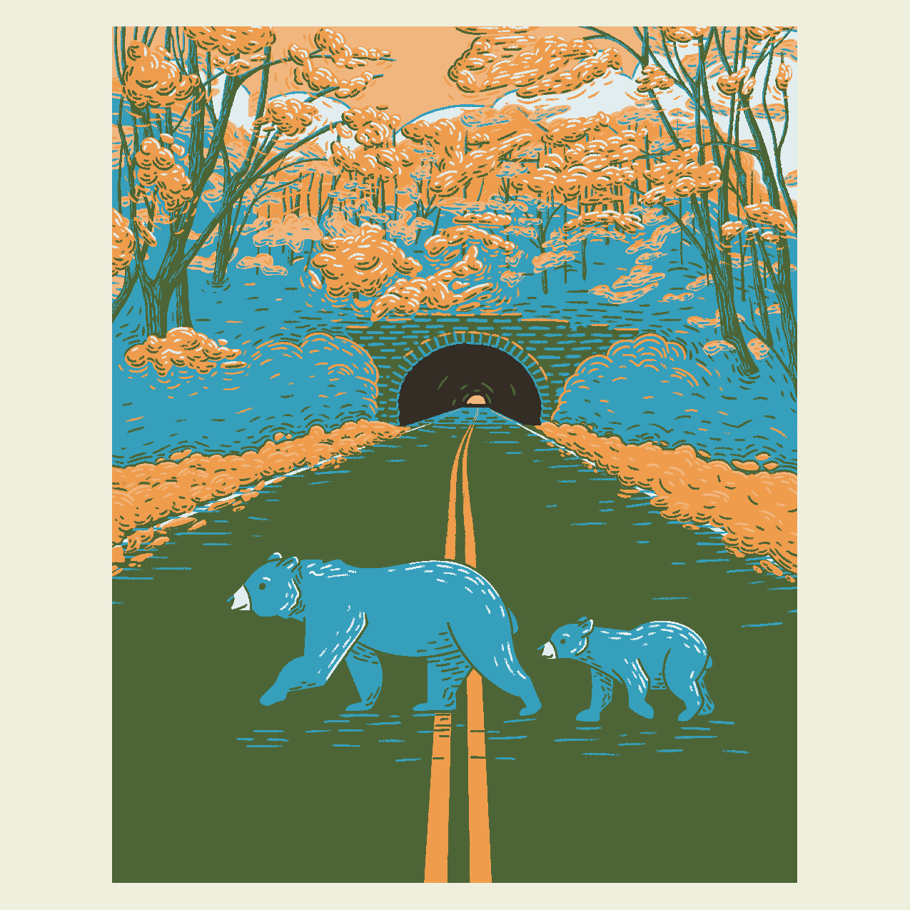 BlackBears-Web-01.png