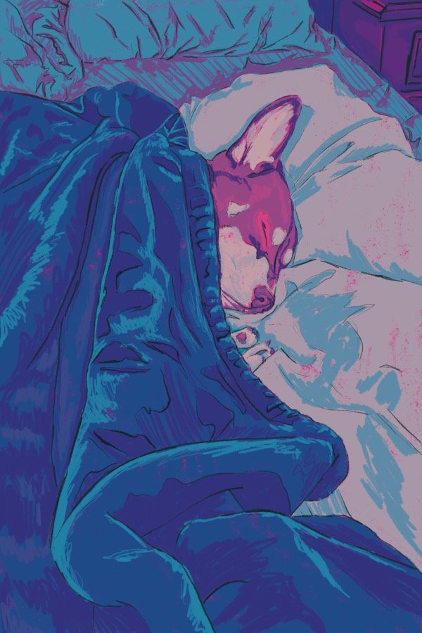 SnugAsABug.jpg
