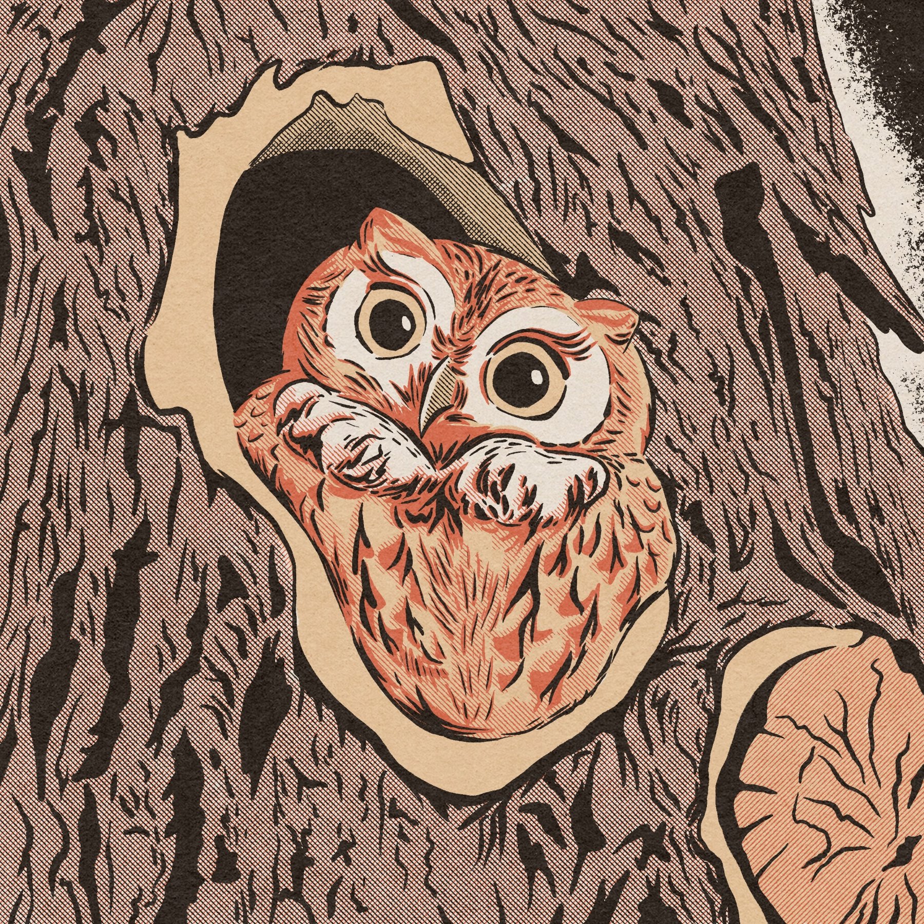 Owl-Web.jpg