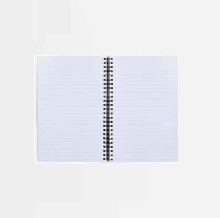 Cahier spirale 3.png