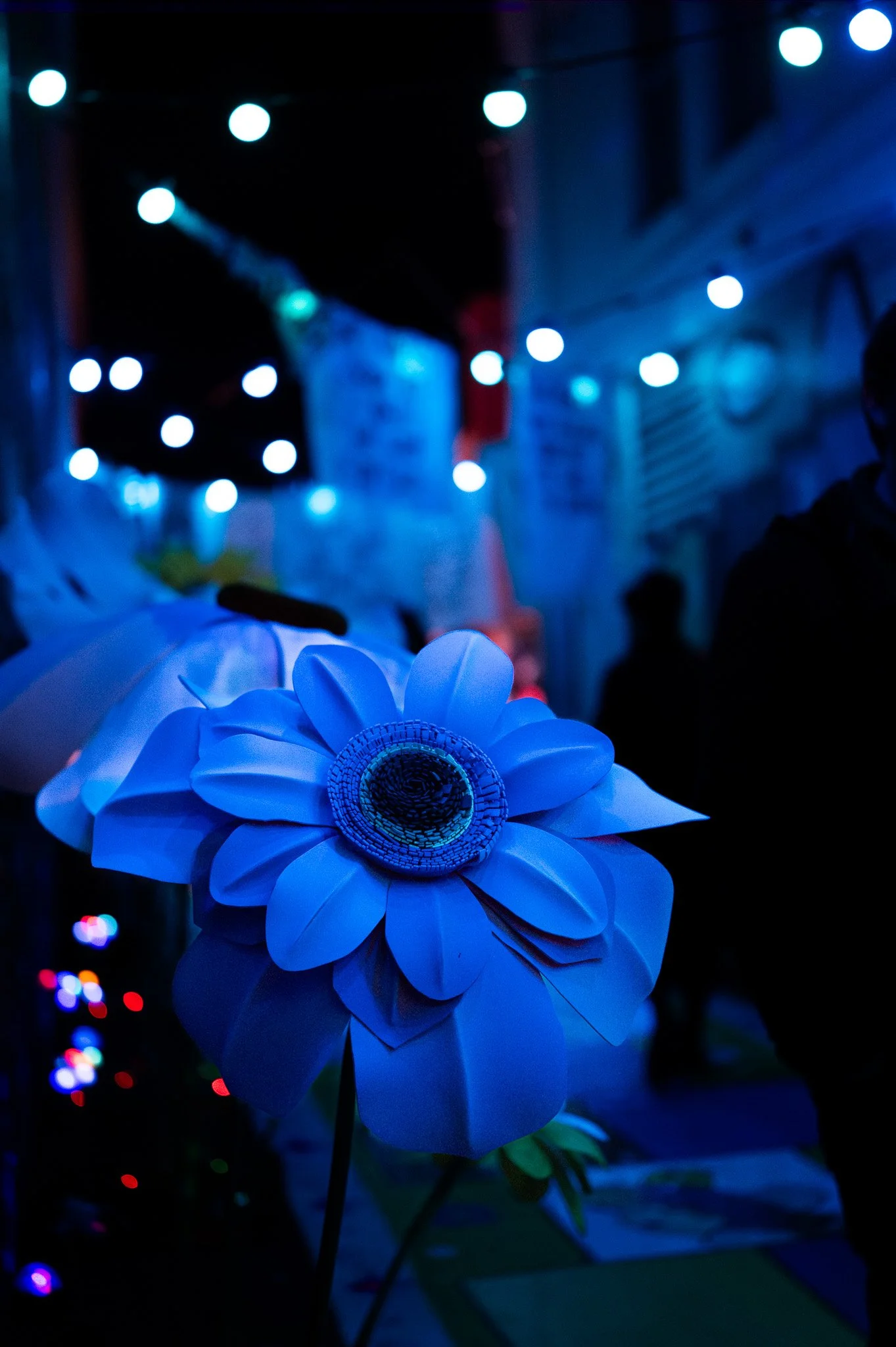 Paper flower at night in blue light
