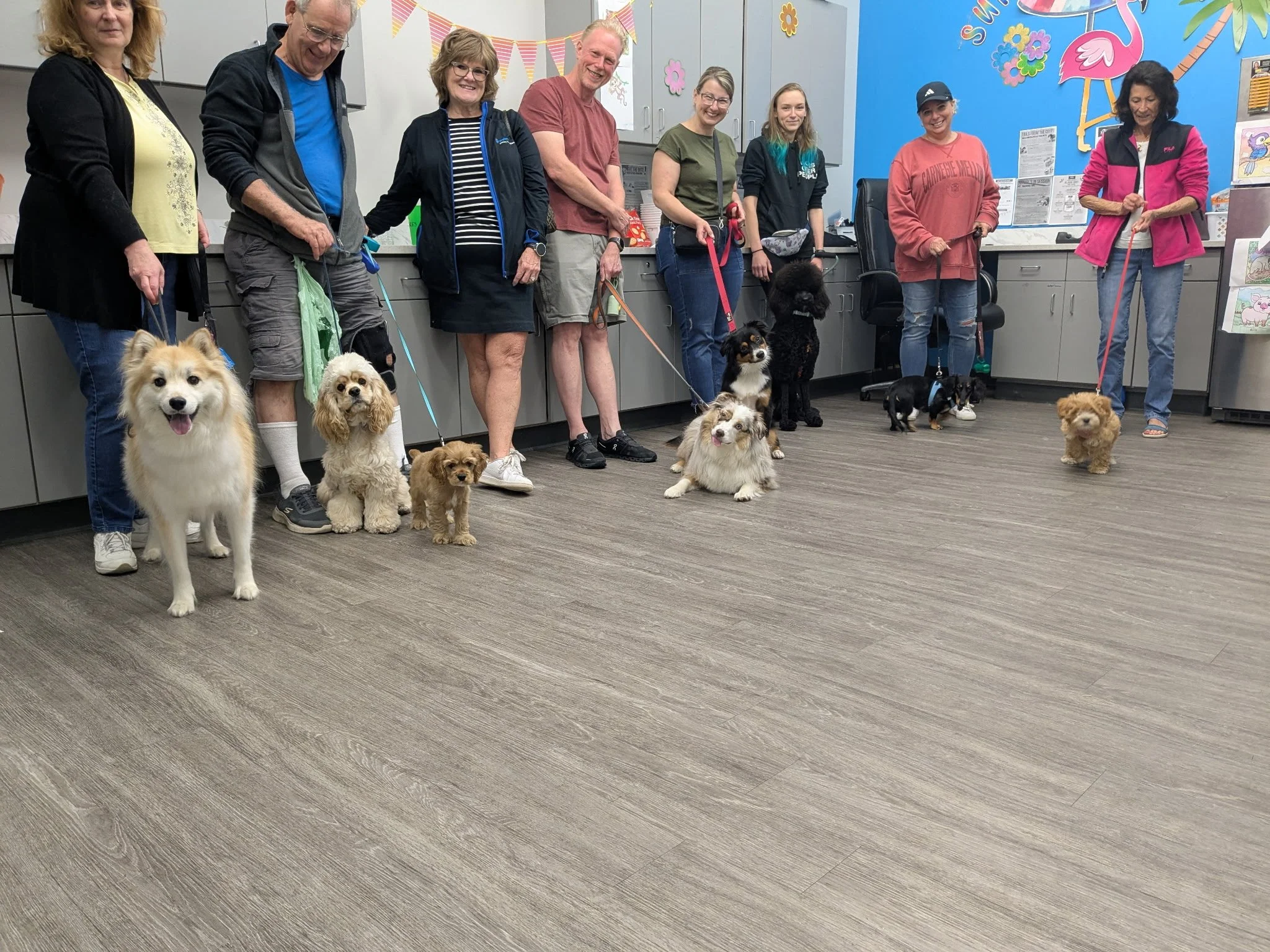 Puppy Social Hour in full swing!