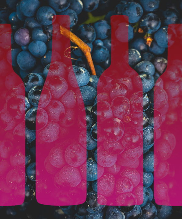 We Asked 12 Wine Pros: What’s the Most Underrated Red Wine?
