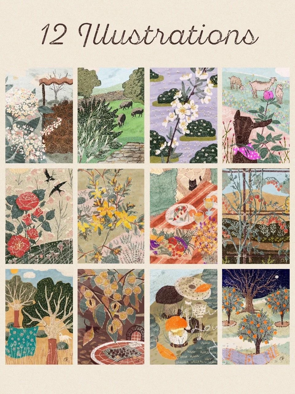 12 Preview Large.jpeg