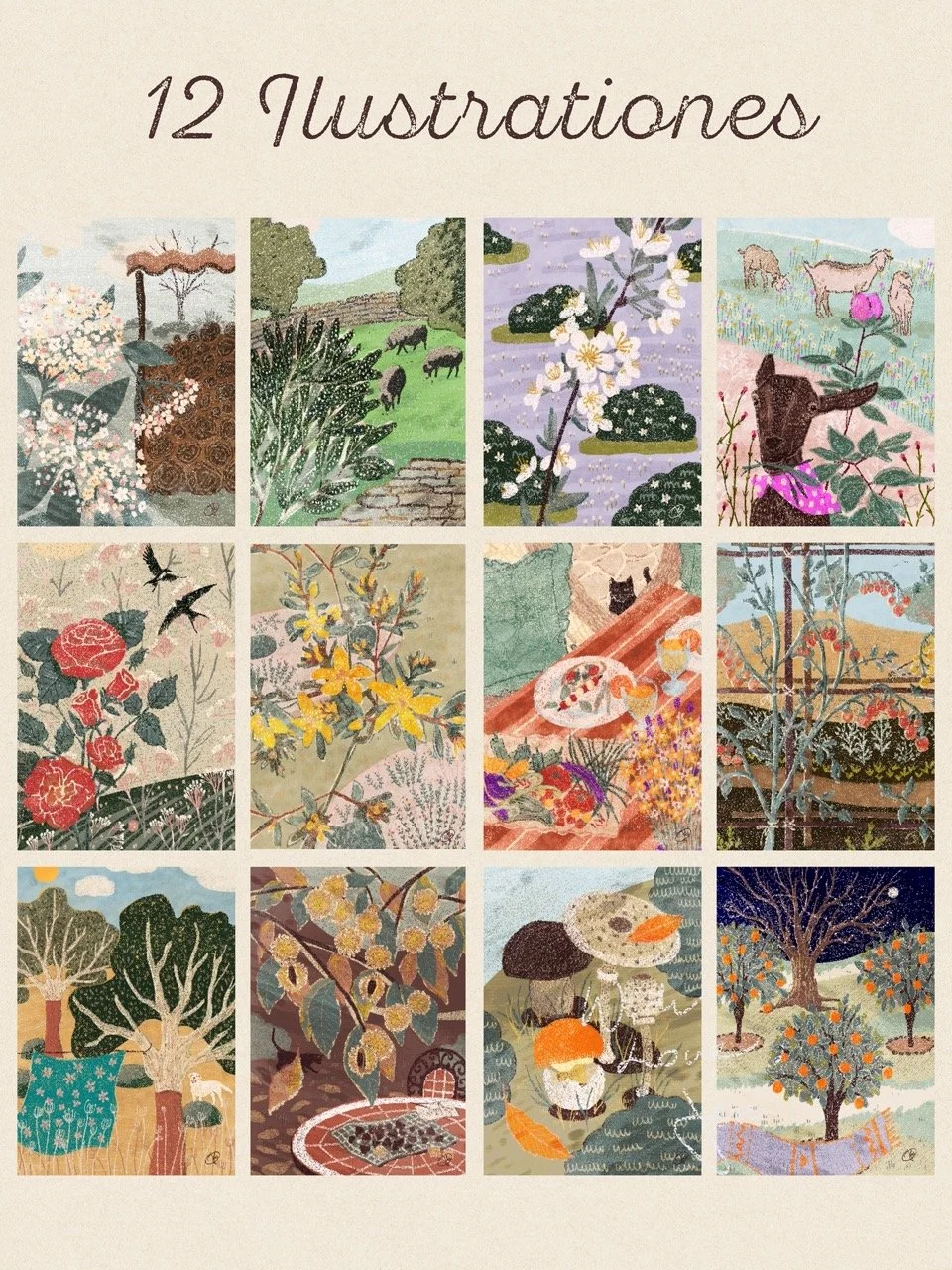 12 preview es Large.jpeg