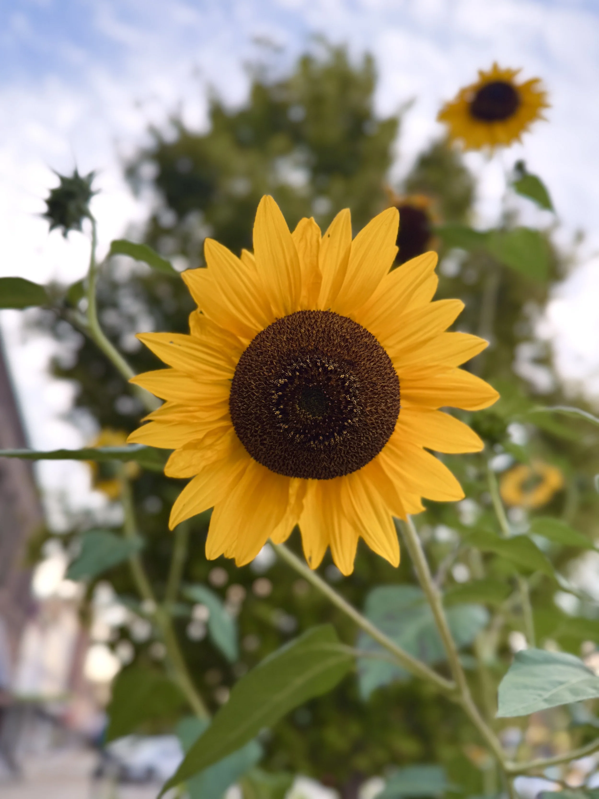 …through 618 Day 2026 Itineraries!