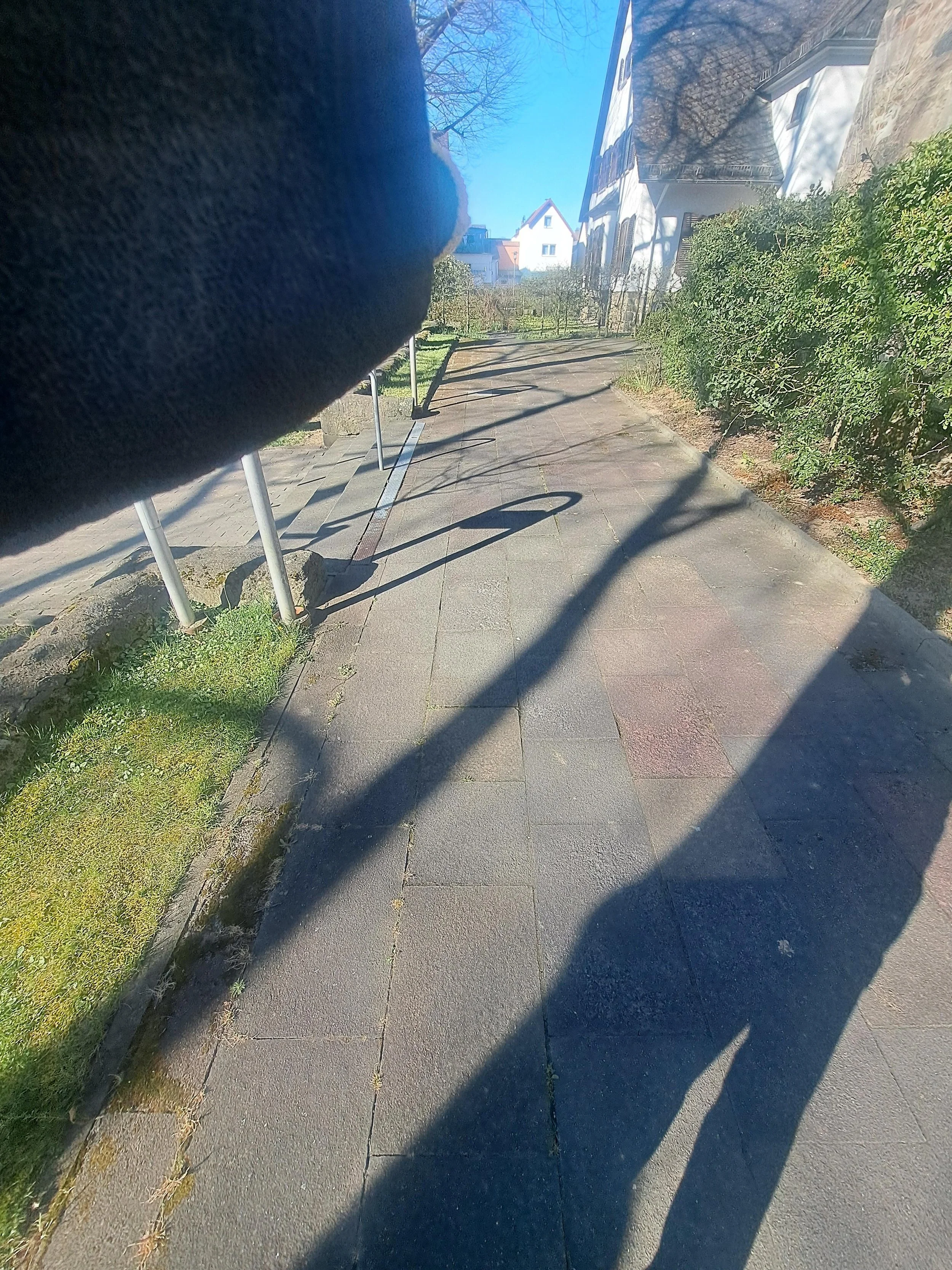 20250407_095338.jpg