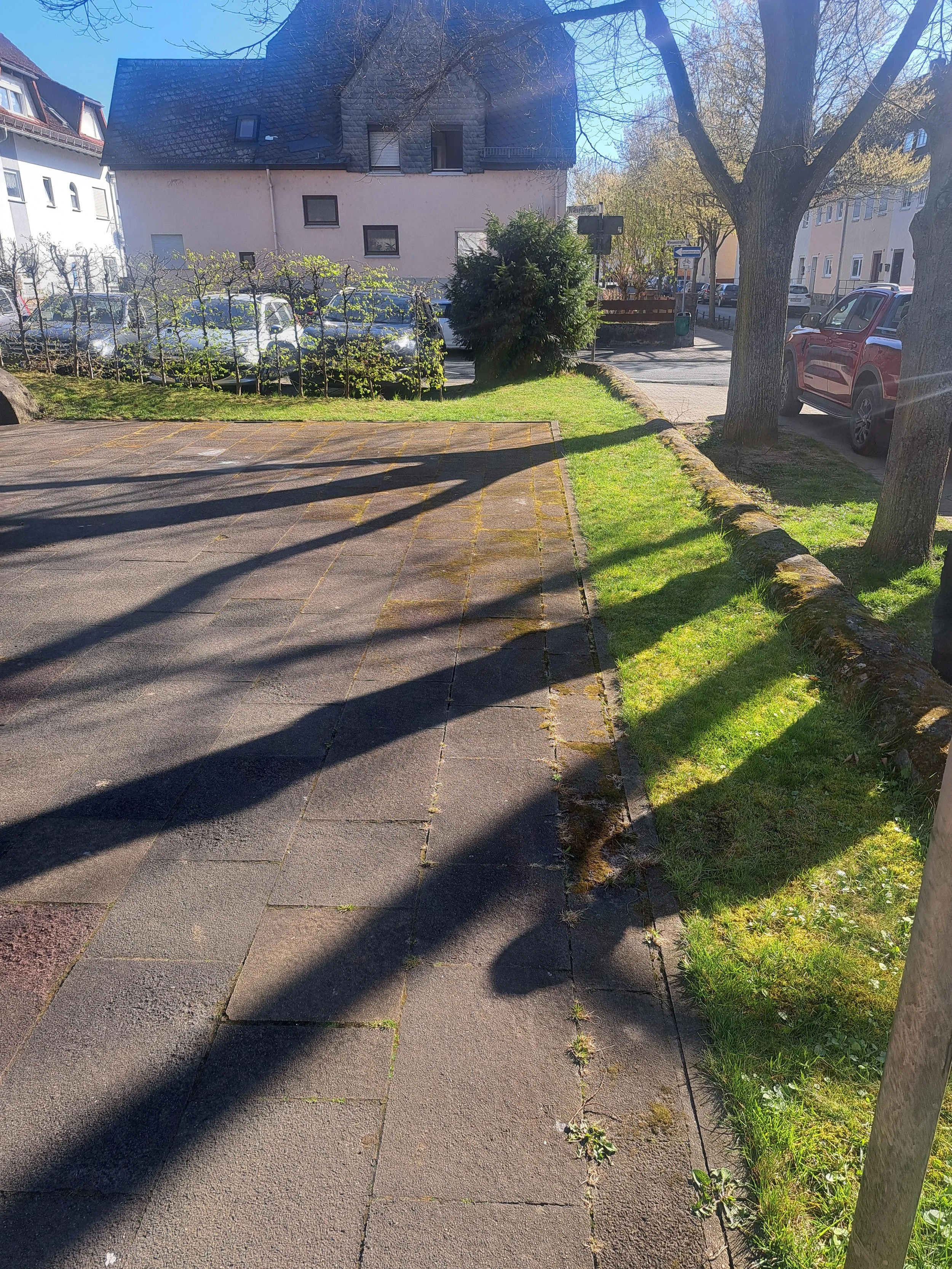 20250407_095316.jpg