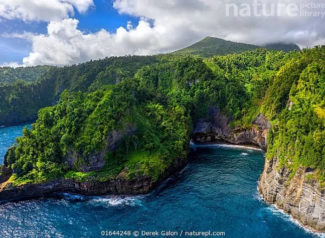 Guadeloupe - Dominica - Martinique (7 days)