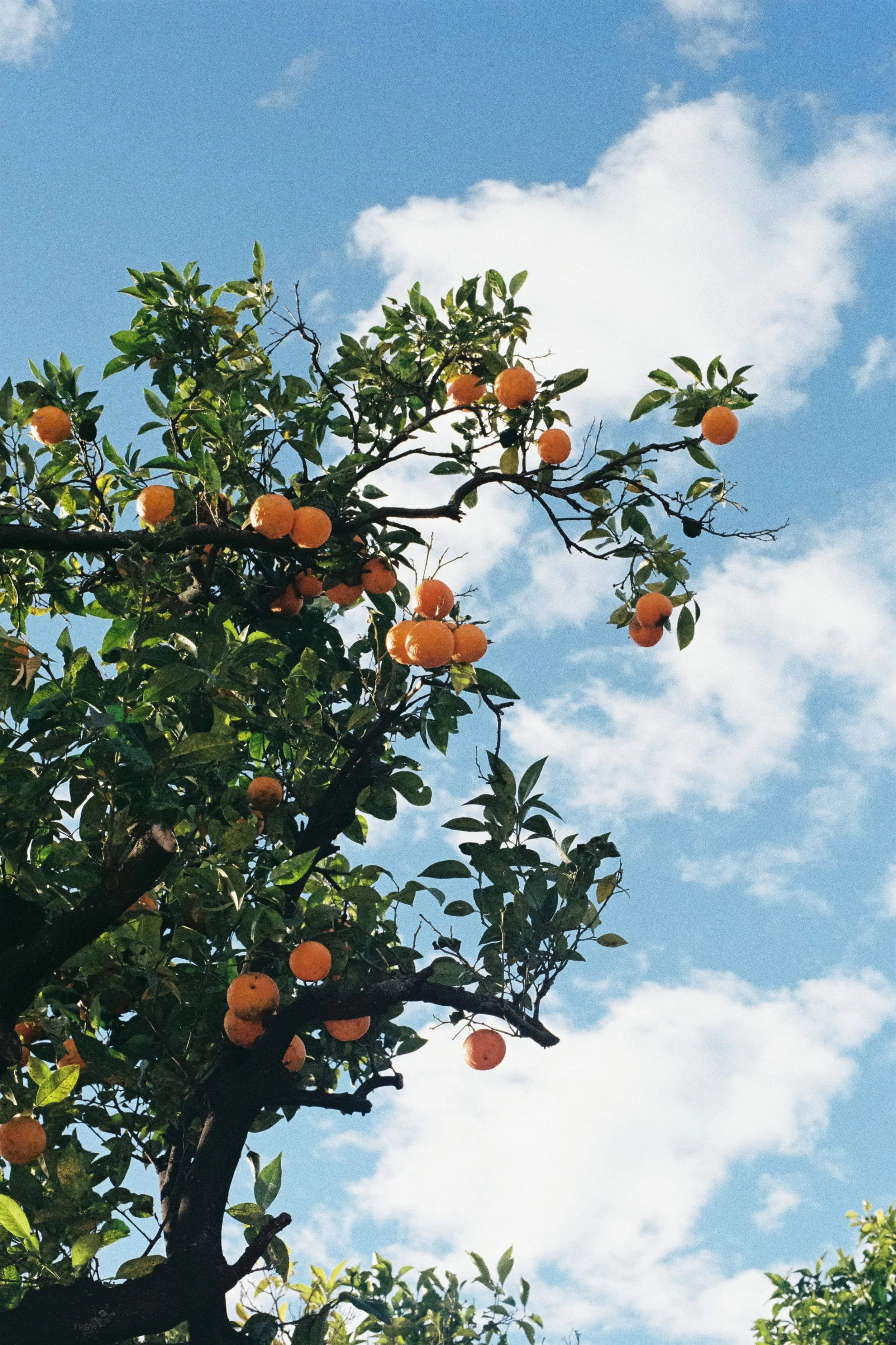 Please Stop Over Scheduling Your Retreat