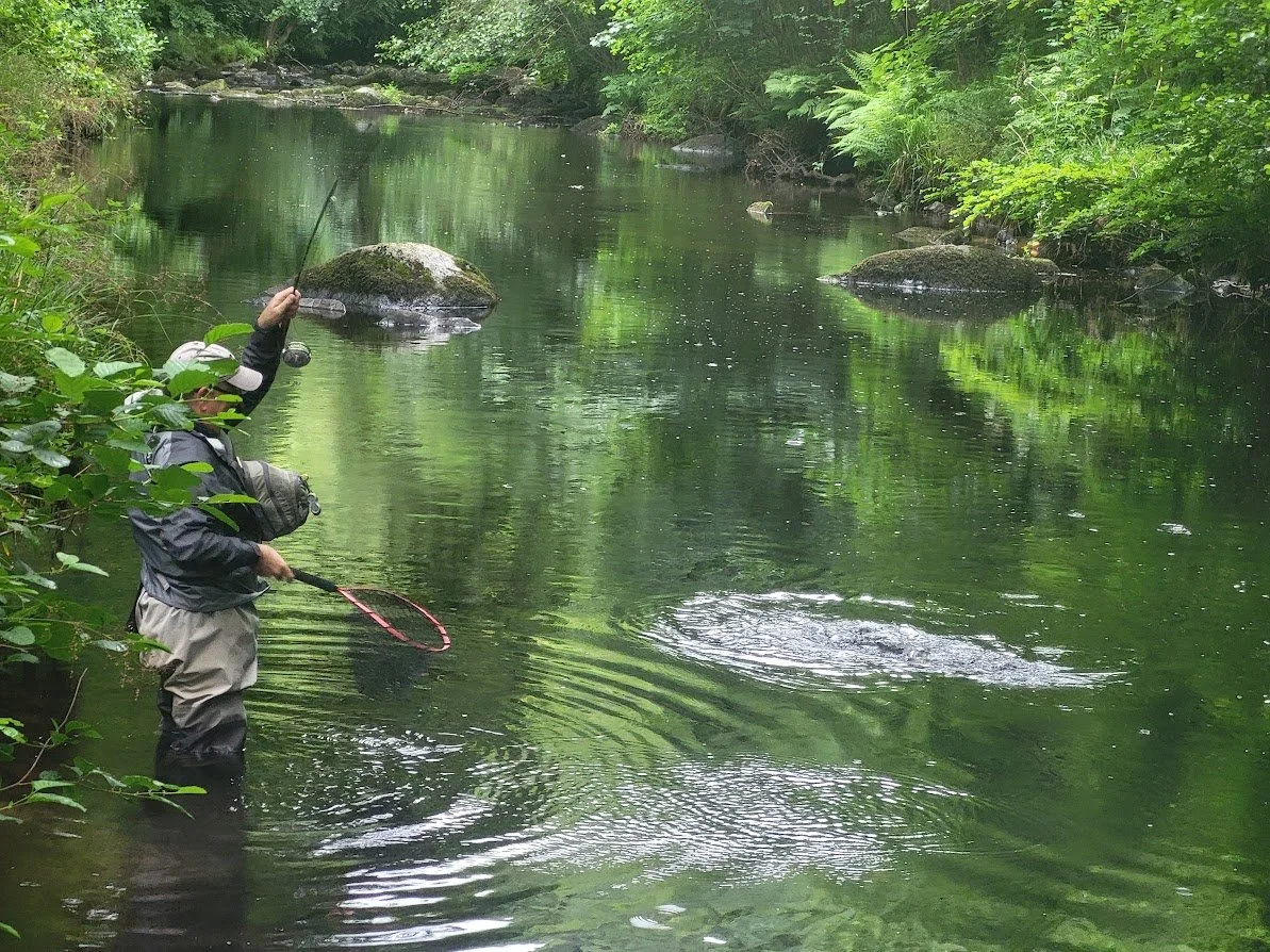 Oranssi project: slat roof