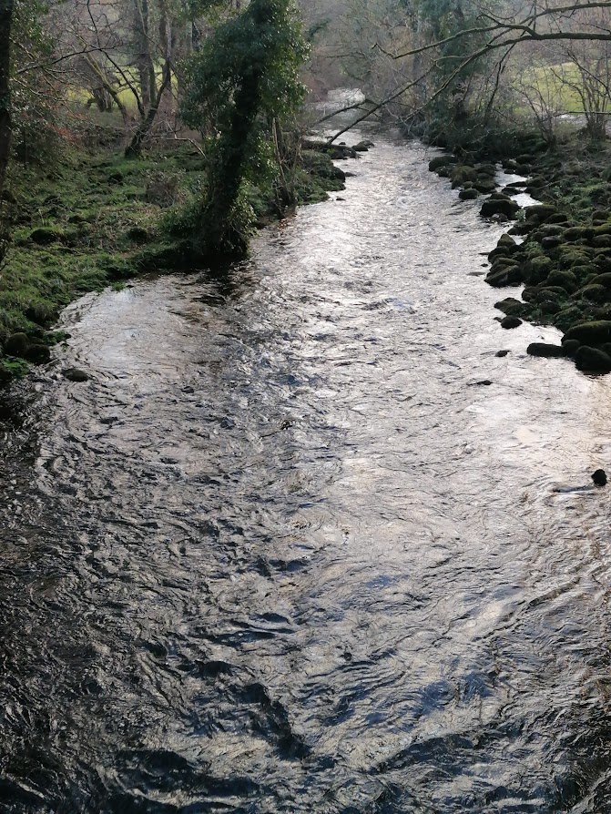 The Teign flowing into Drogo weir pool