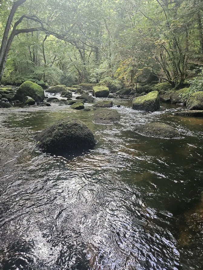 A peaceful river flowing through The fingle gorge below castle Drogo