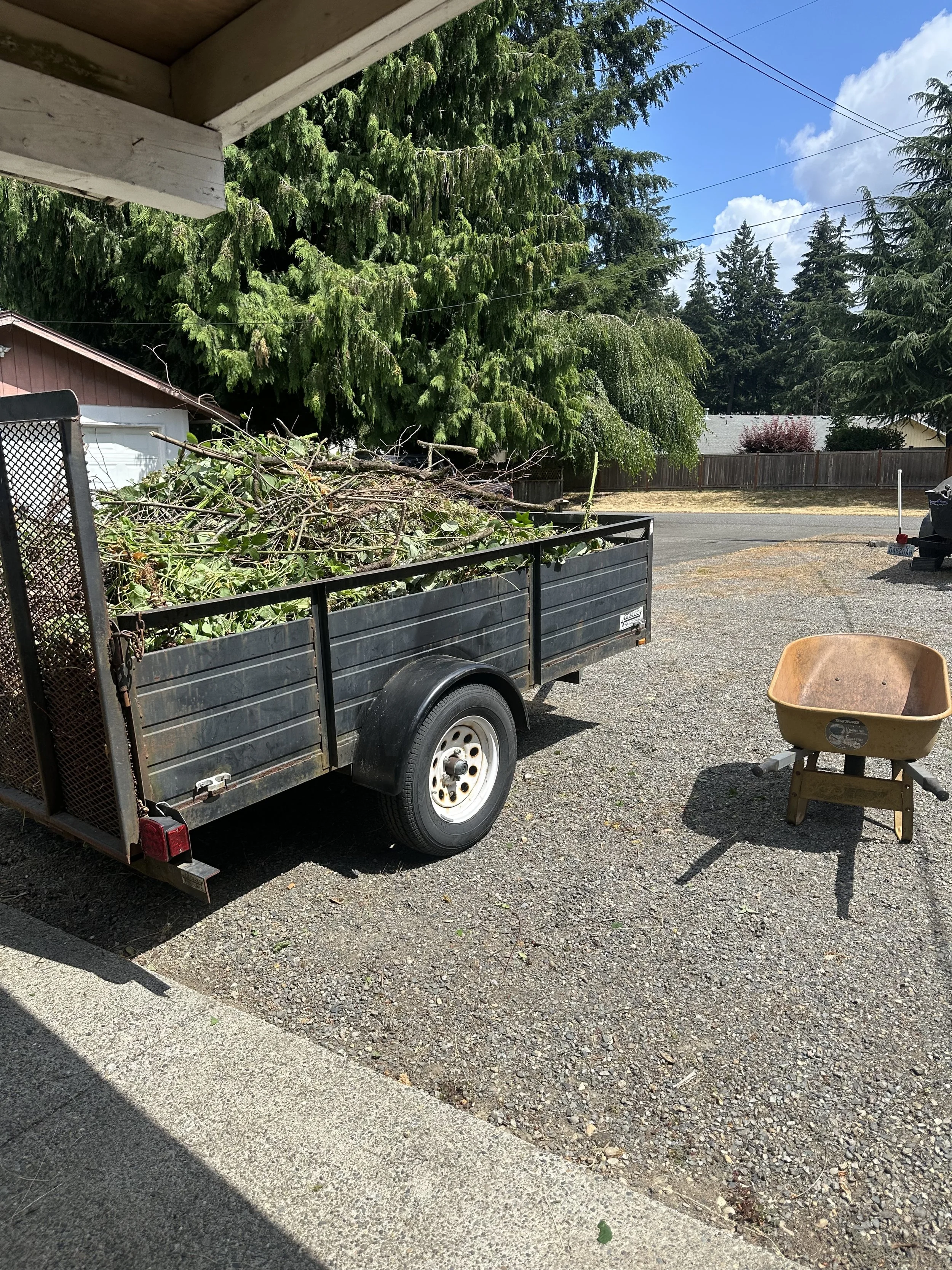 Trailer filled with tree branches and green waste in a residential Puyallup driveway