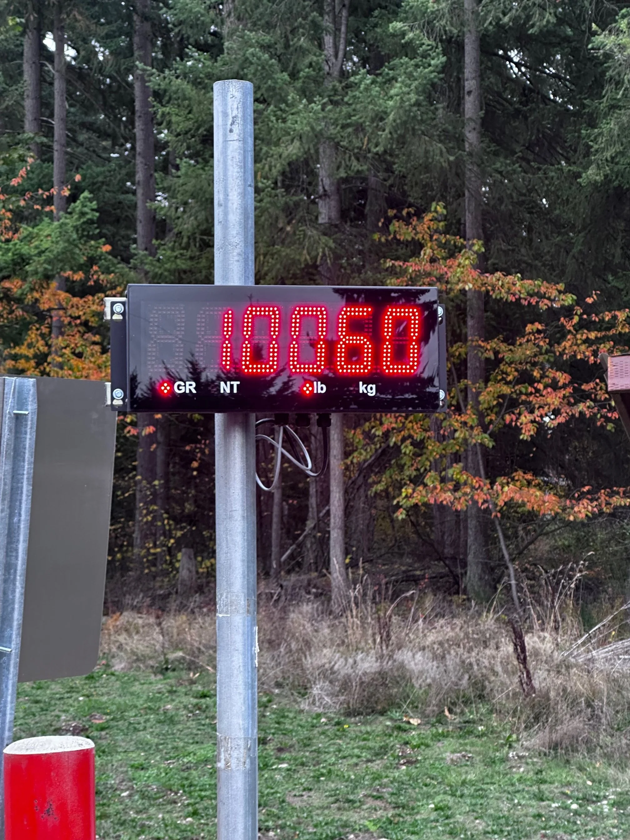 First junk load — 1,200 lbs hauled off.