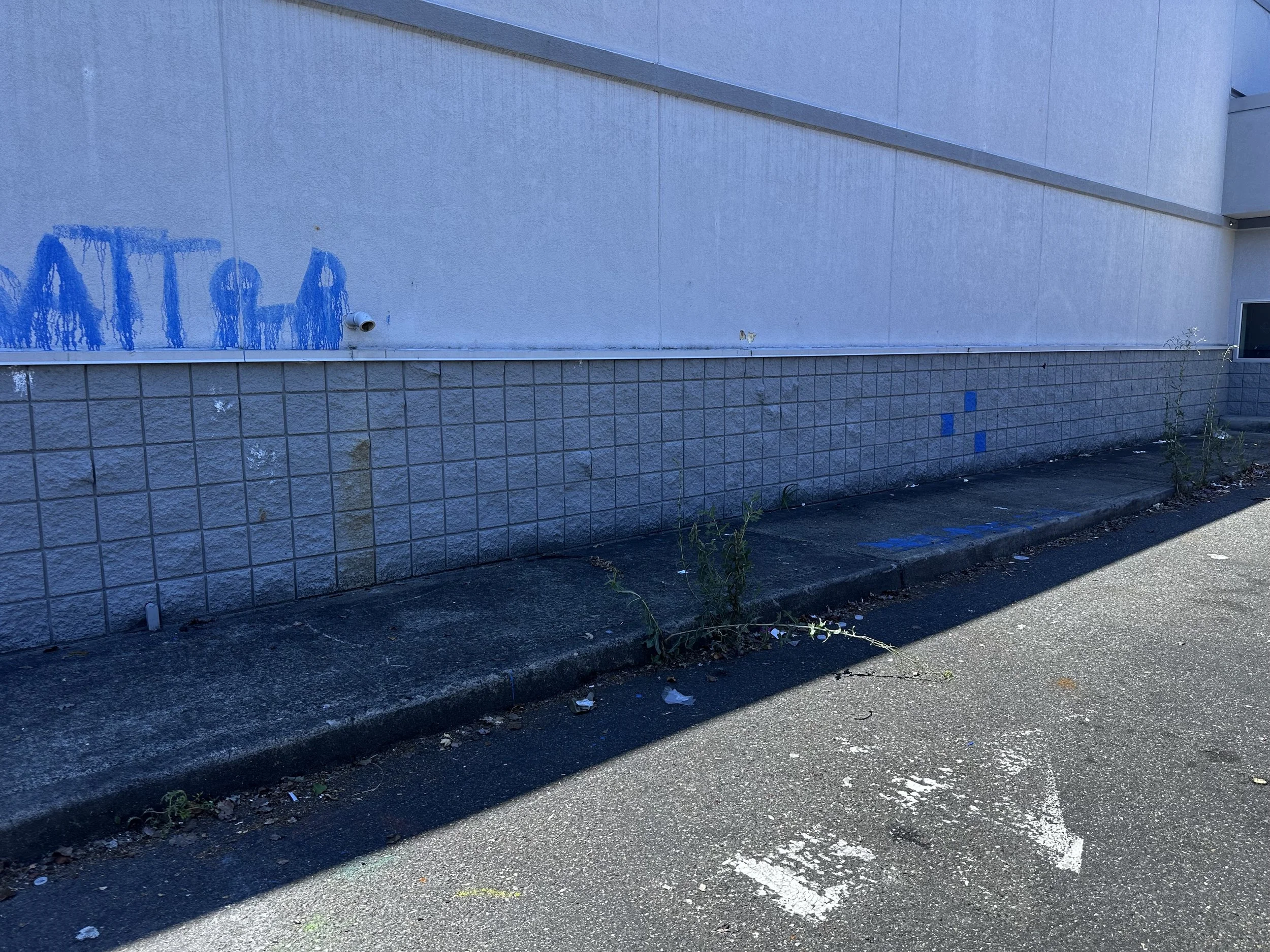 Commercial property behind former Rite Aid in Puyallup after removal of illegally dumped furniture and debris.