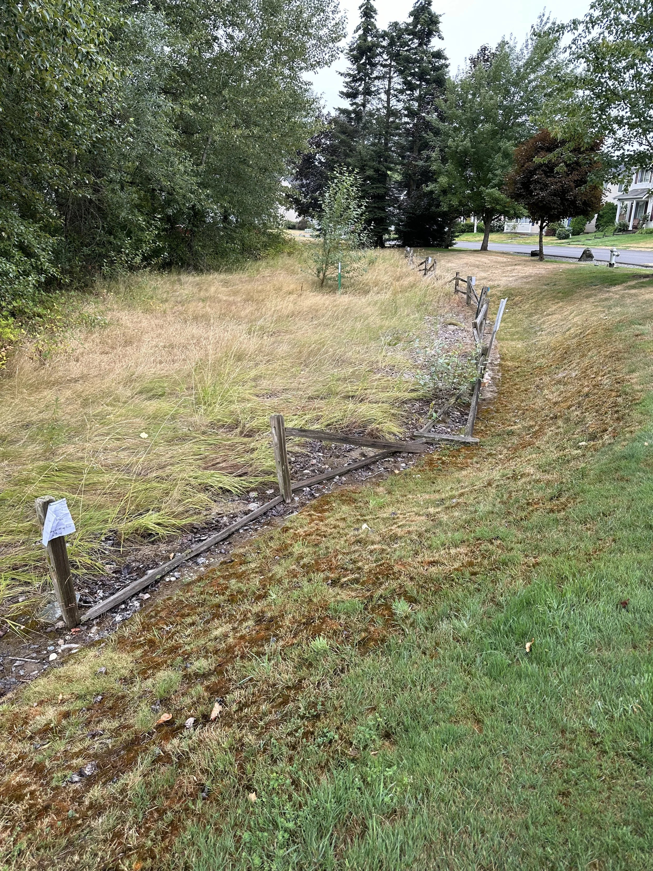 The HOA’s old fence line was collapsing along the drainage area — rotten posts and broken rails scattered through the grass.