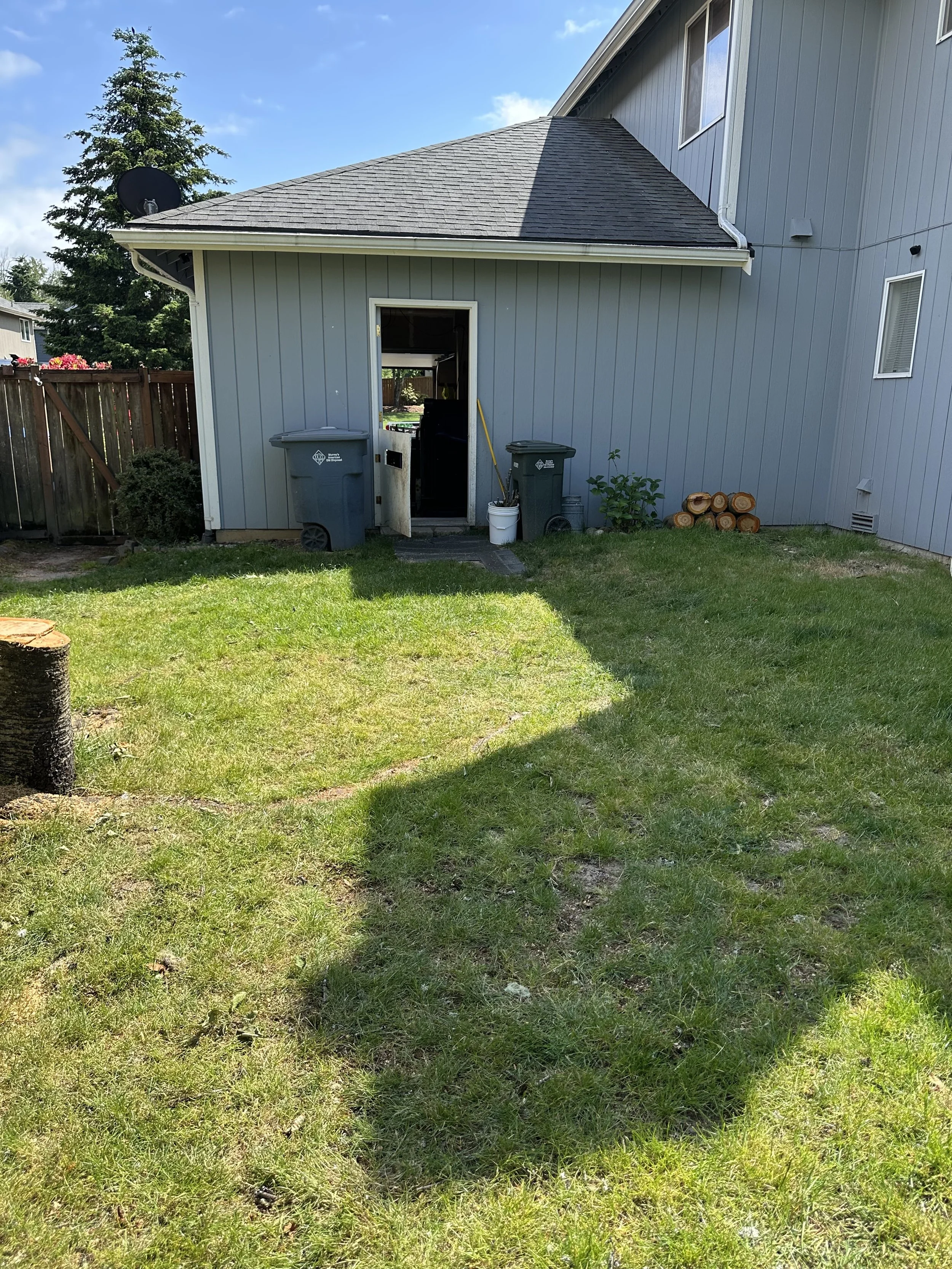 Backyard cleared of logs and branches after cherry tree removal.
