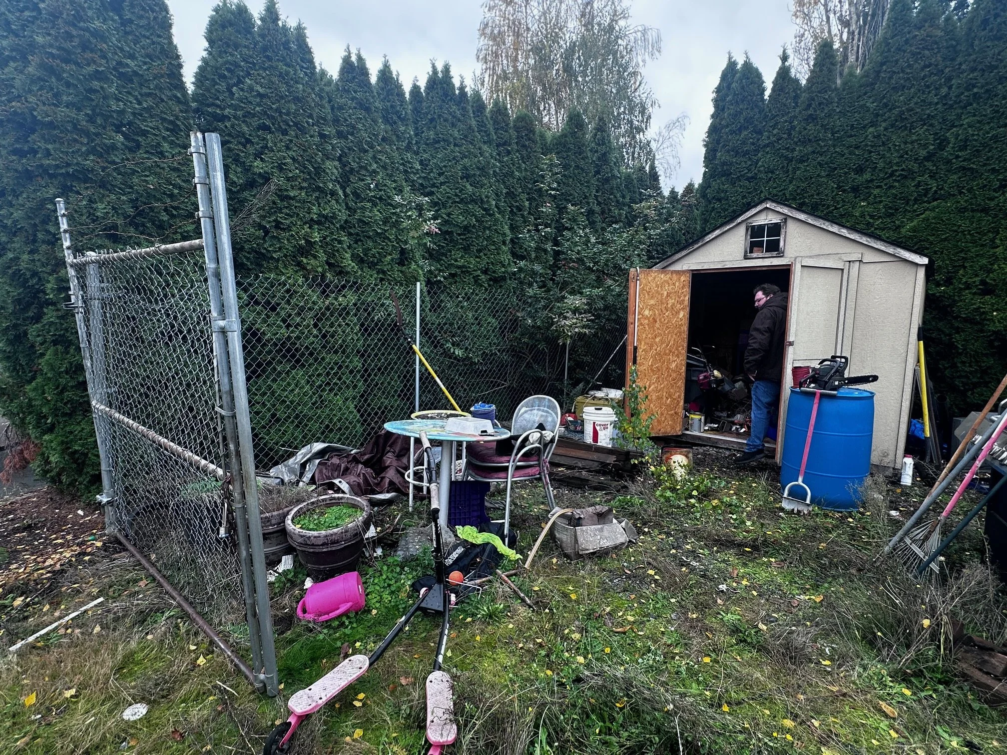 BEFORE — Shed area packed with tools, boxes, and household junk (Sumner, WA).