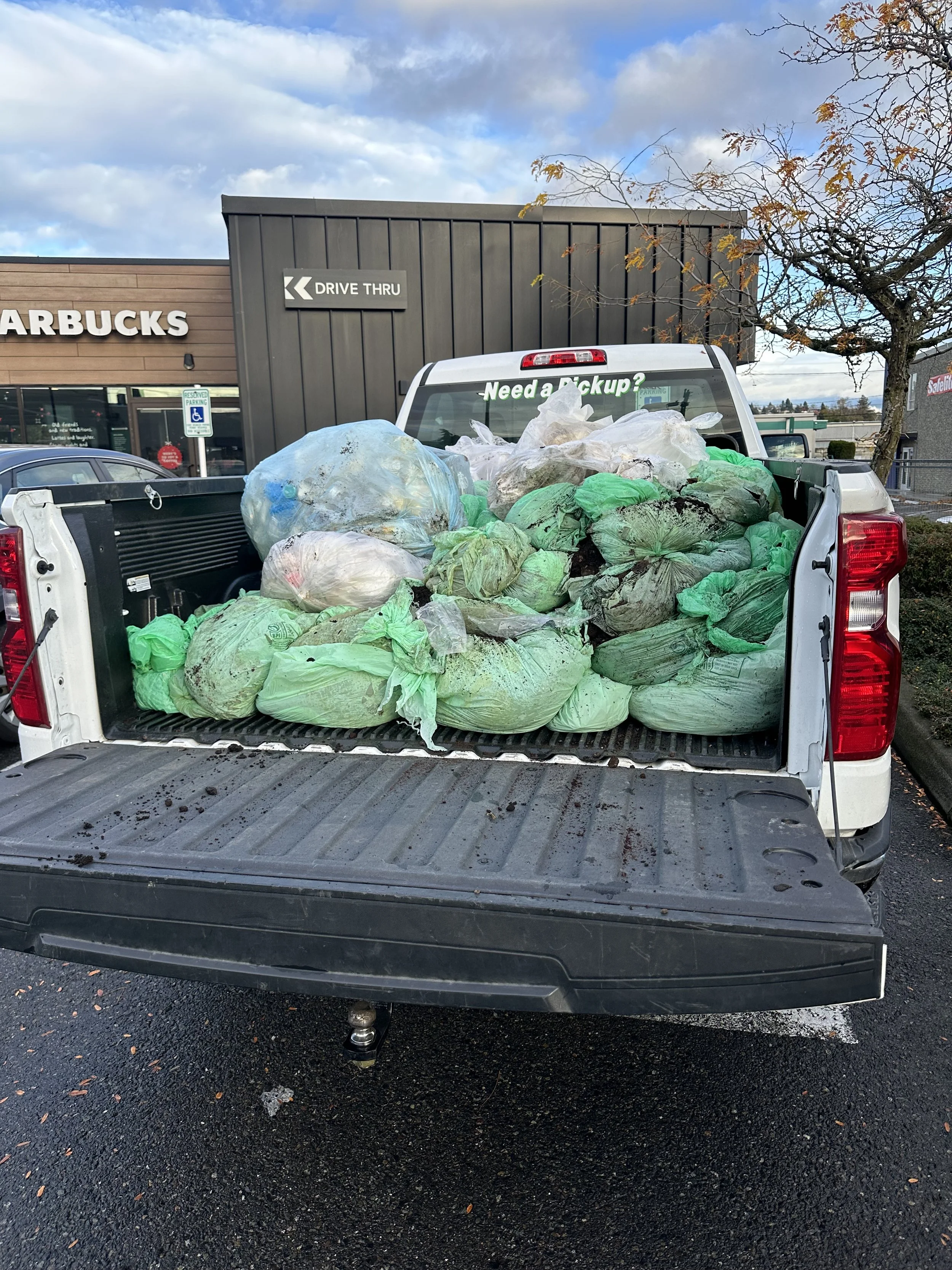 Truck bed filled with green and clear bags of yard waste near a commercial shopping center.