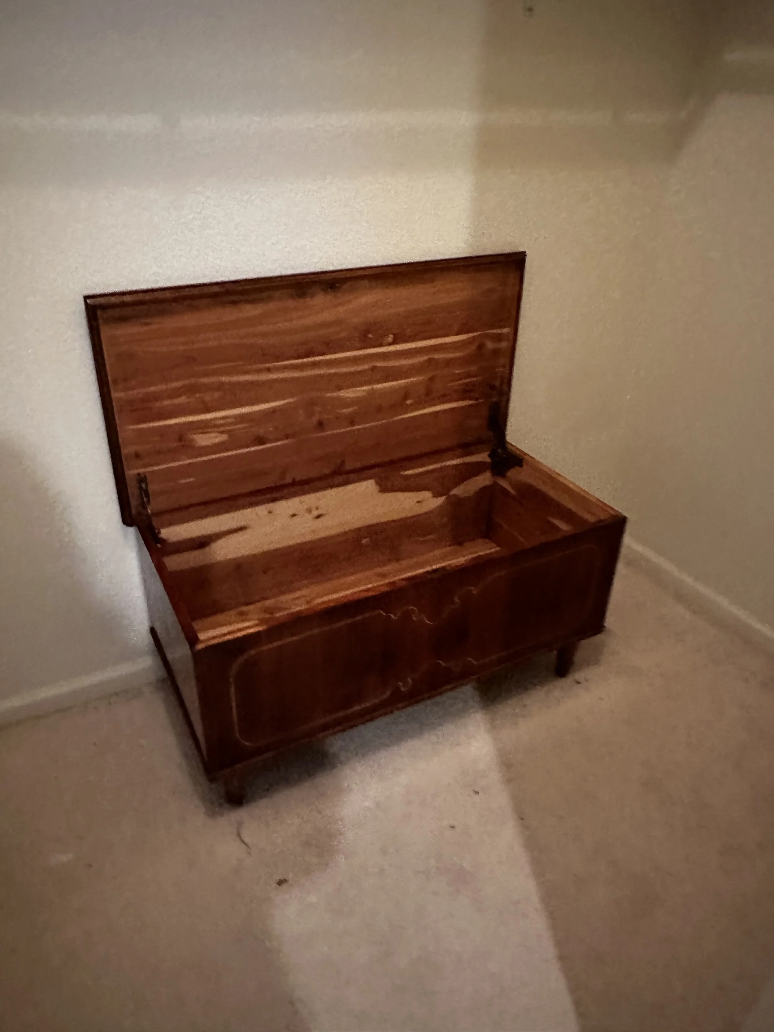 Before — Cedar chest left behind in the closet.
