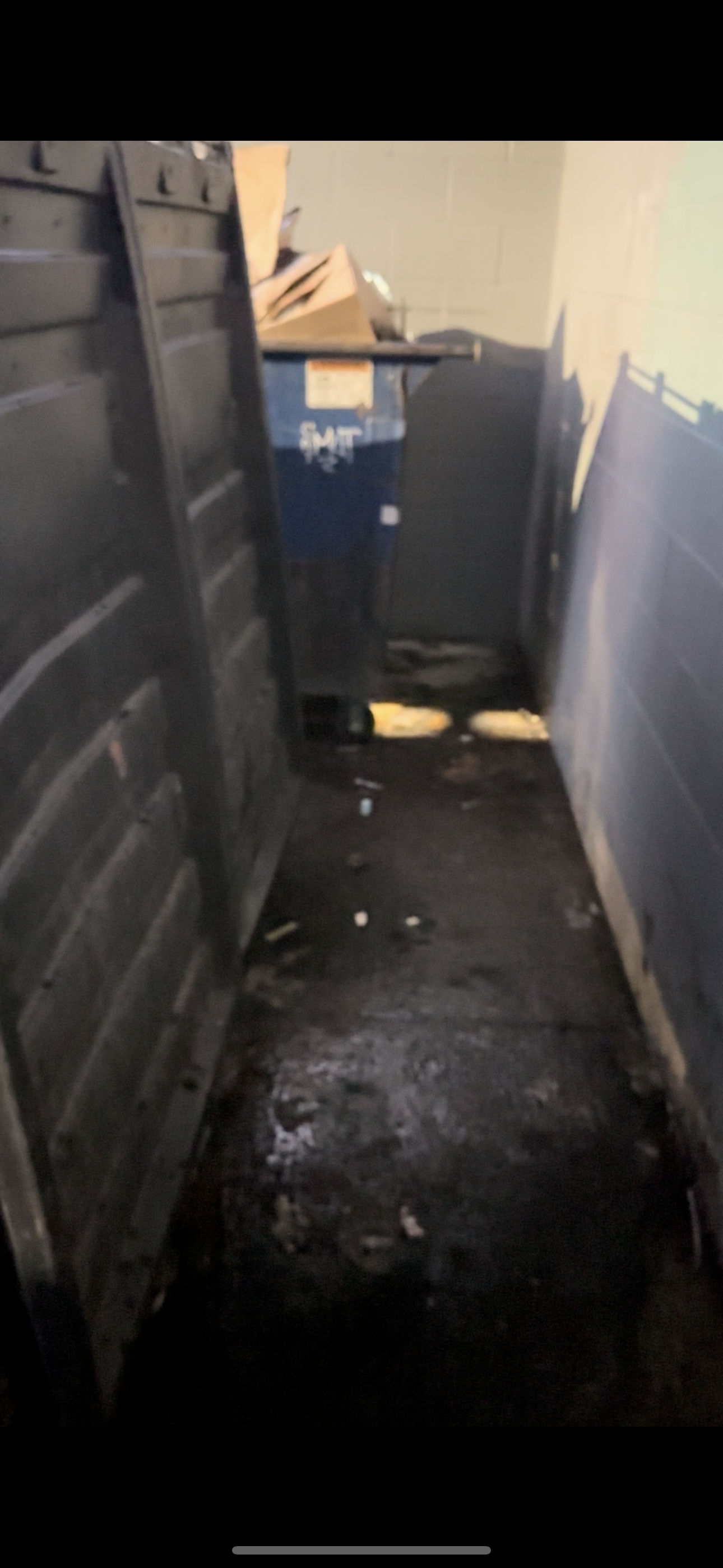 Cleaned dumpster enclosure area after trash overflow removal and commercial junk cleanup at a commercial property in Washington.